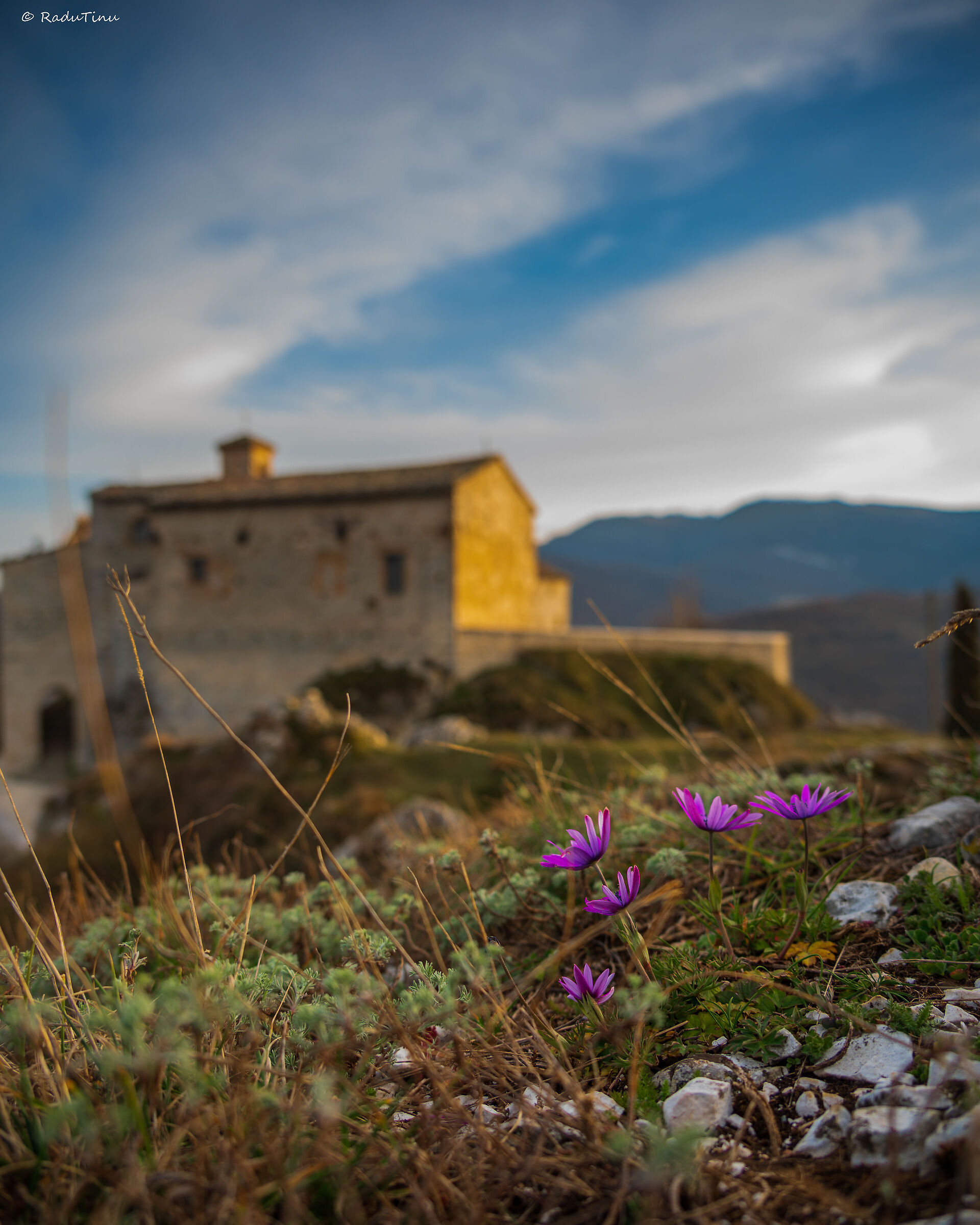 Between elcito and the sky. (Elcito Mc)