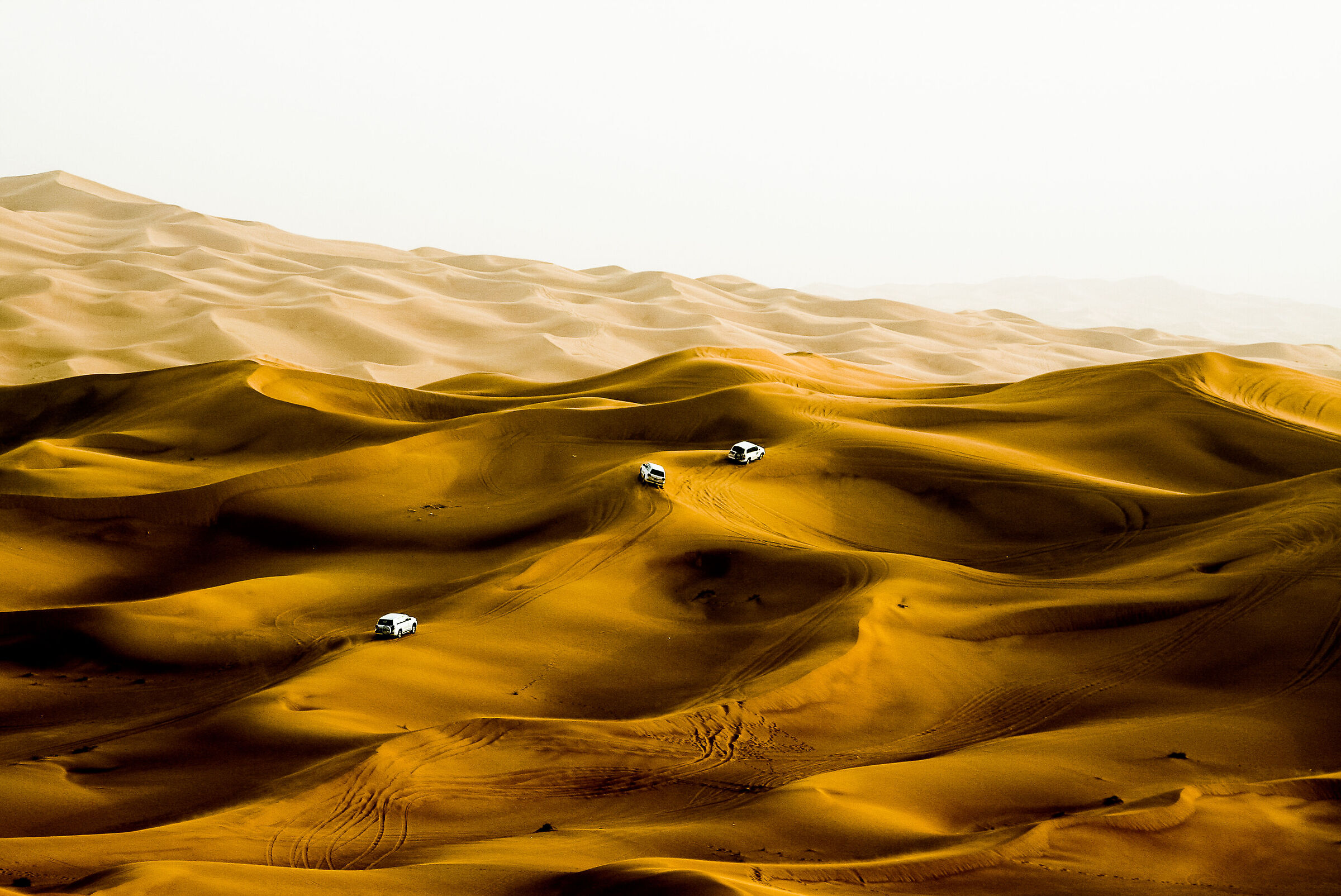 Dune