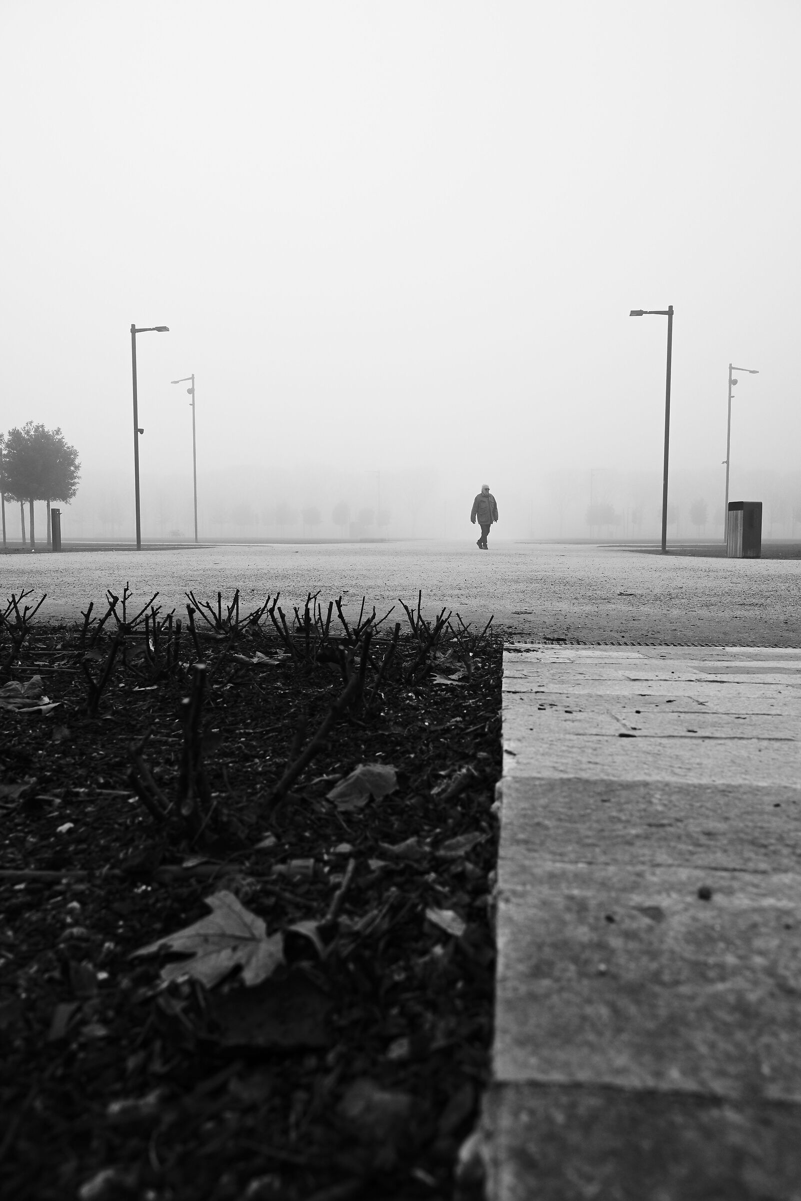 Passeggiata nella nebbia del parco