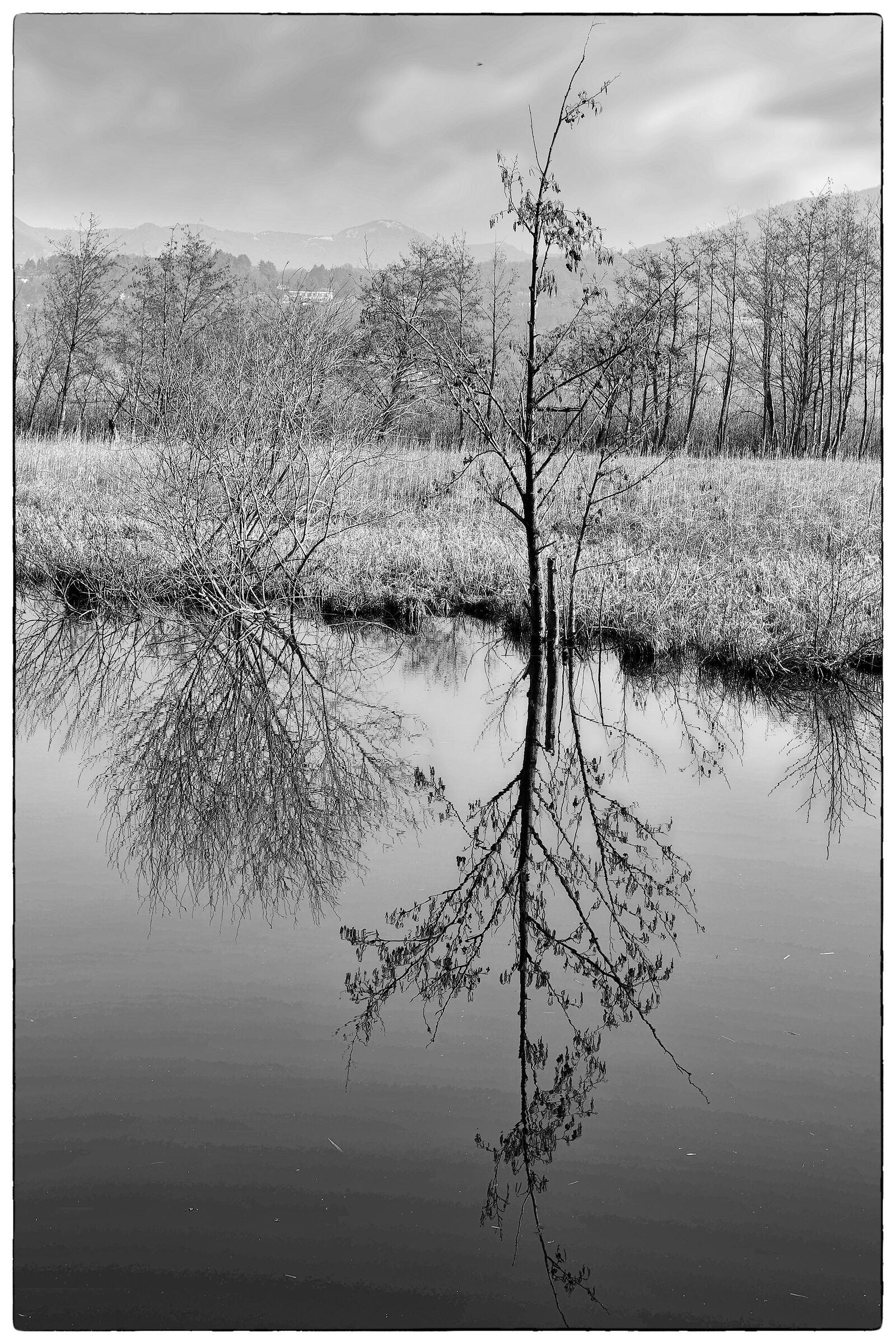Untitled Photo
