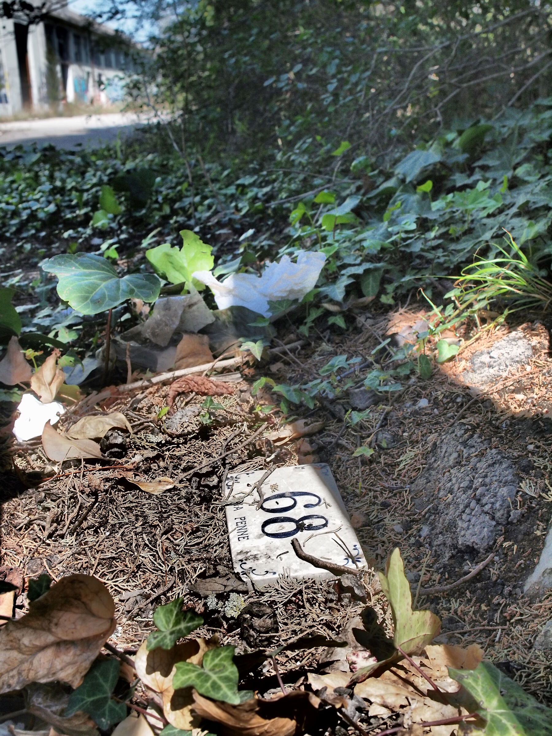 L'ingresso della vecchia conceria abbandonata