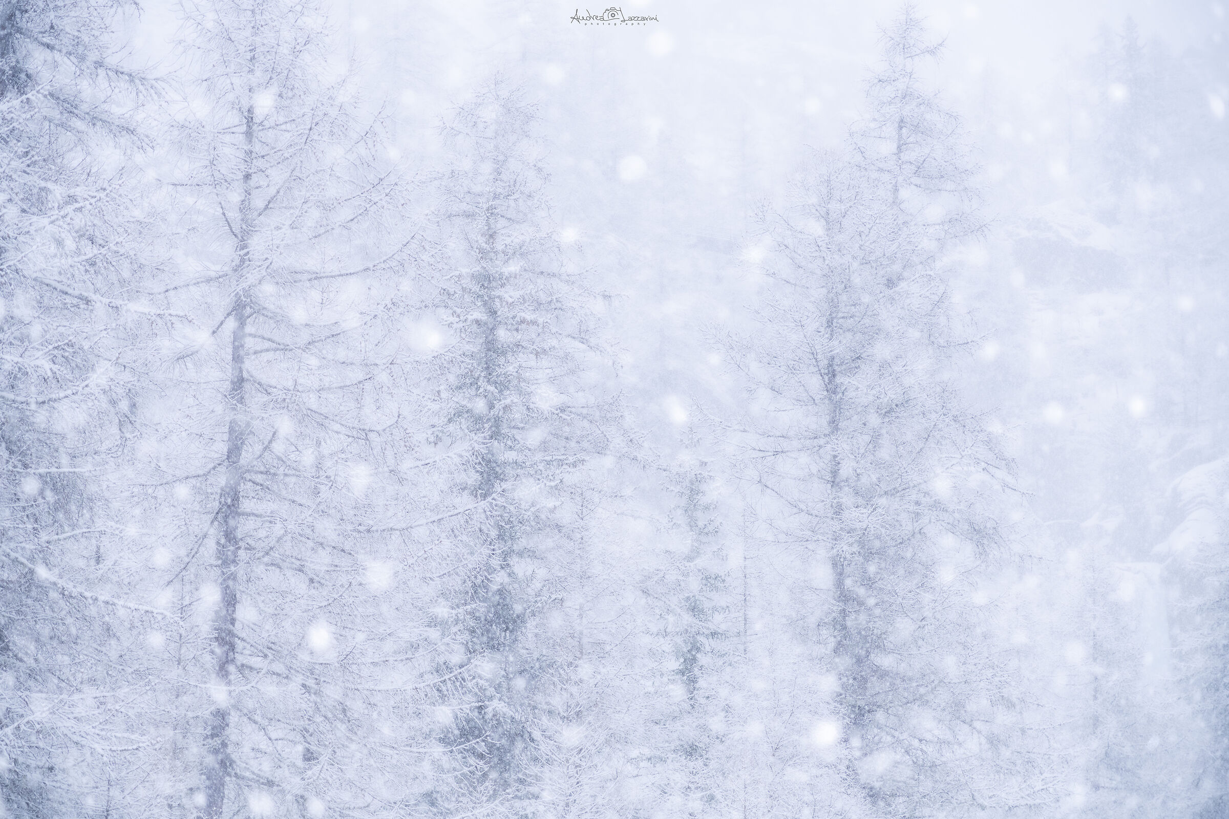 snowfall