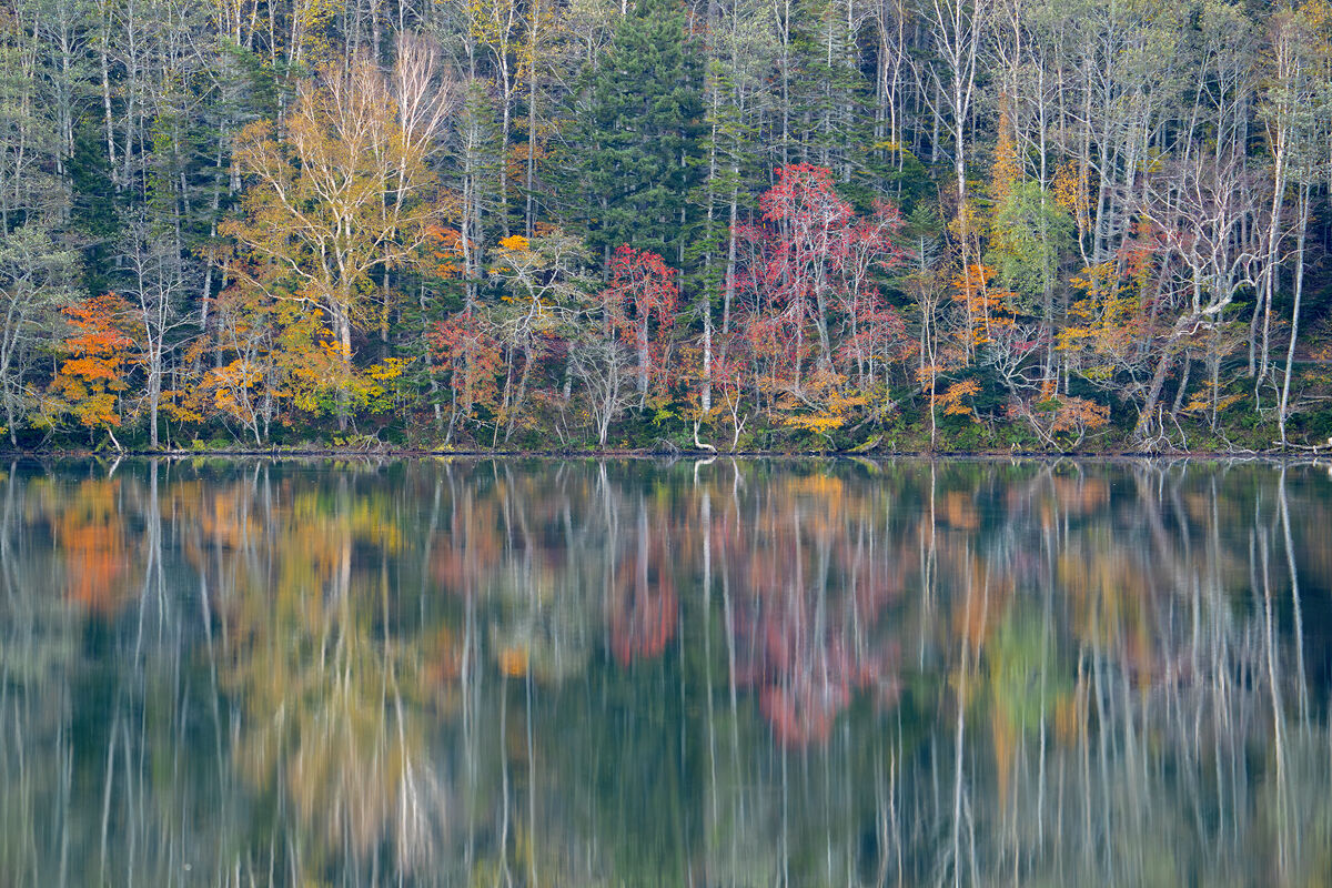 Fall in Hokkaido