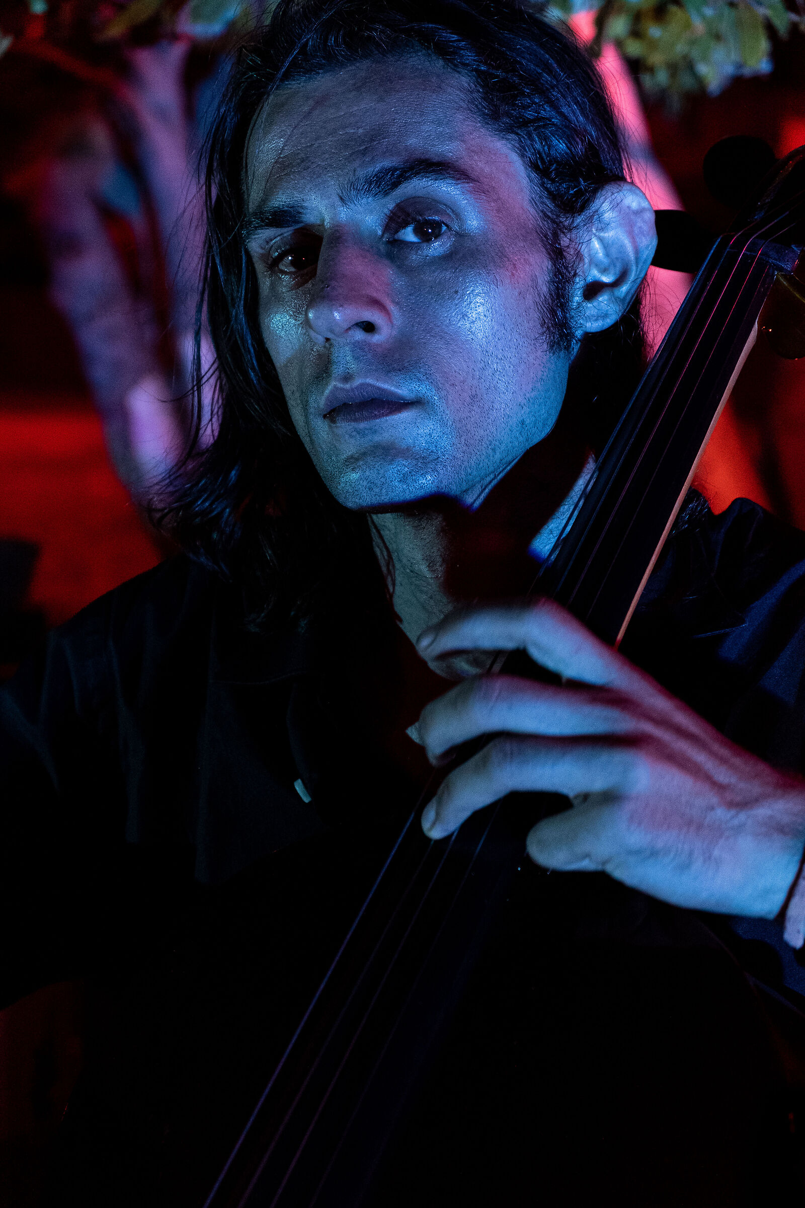 Cellist