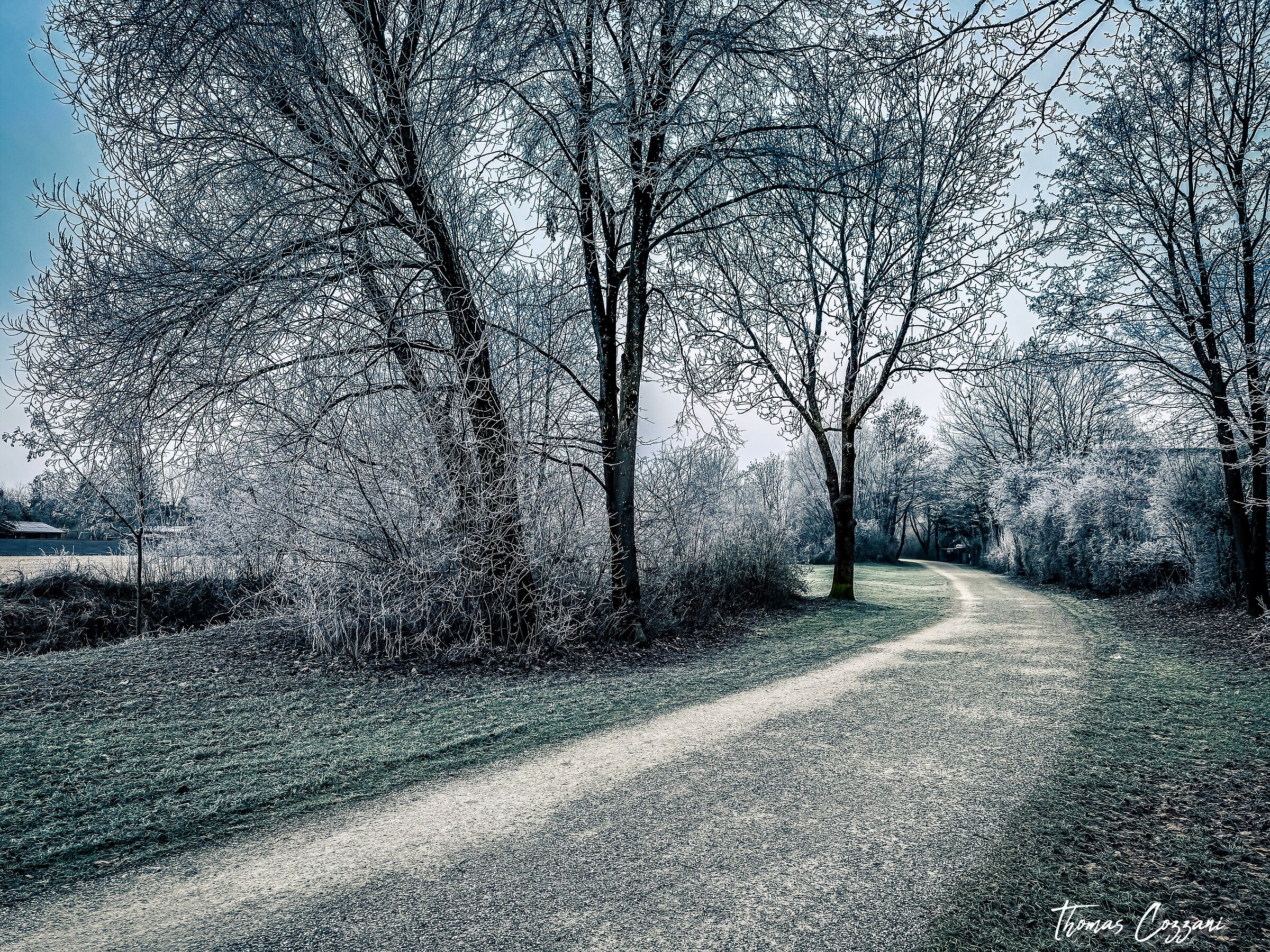 Winter Way 2