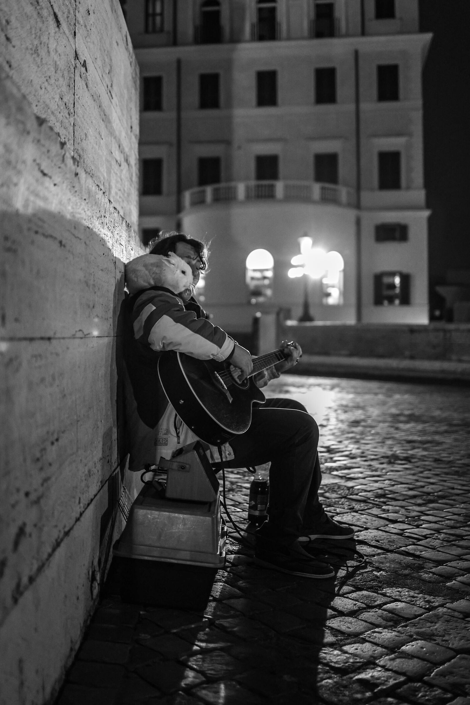 Il chitarrista e il suo coniglio