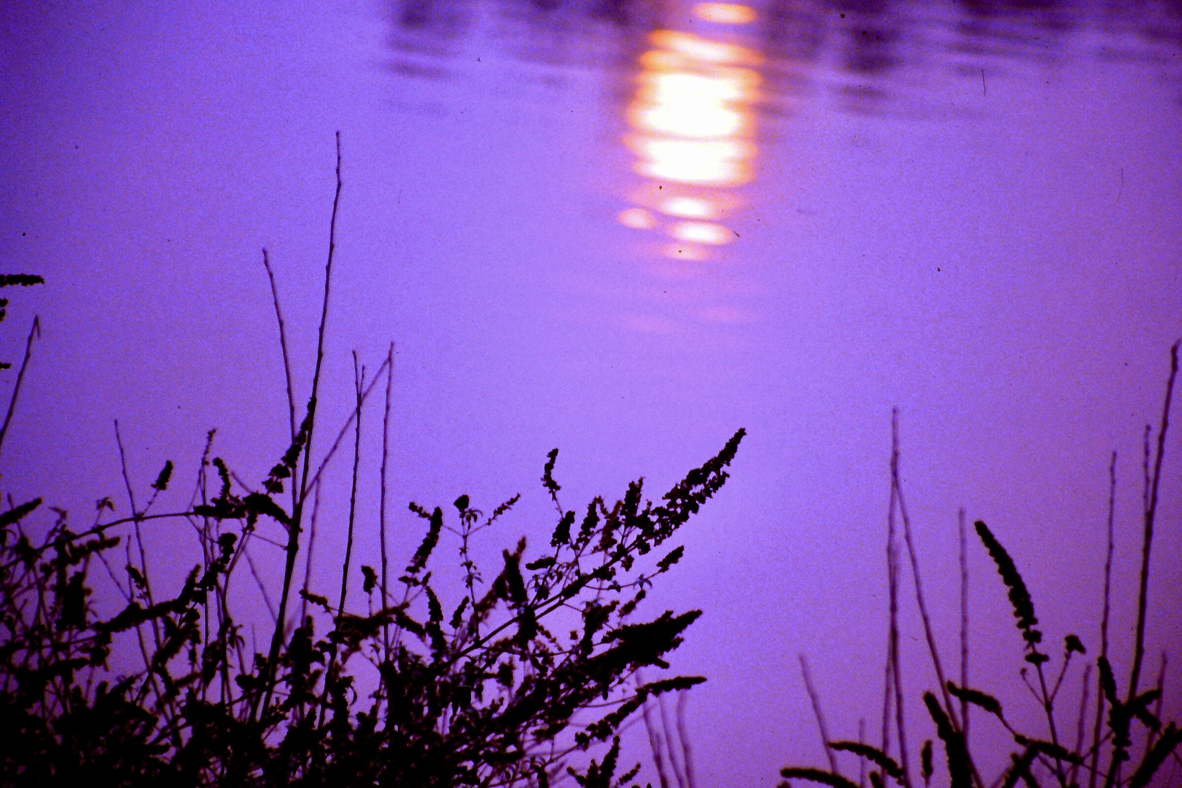 riflesso sul fiume Brenta