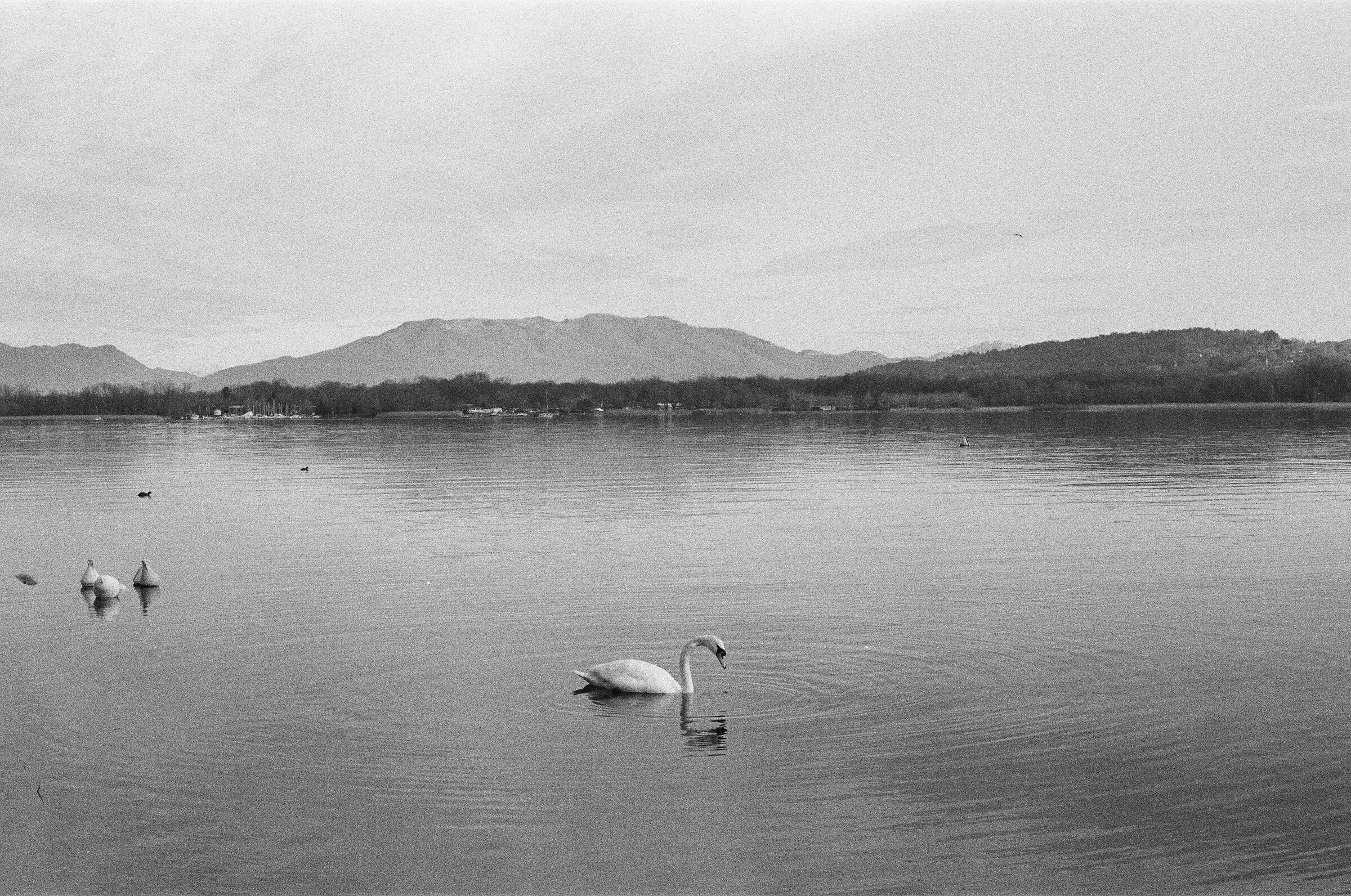 Arona, Lake Maggiore