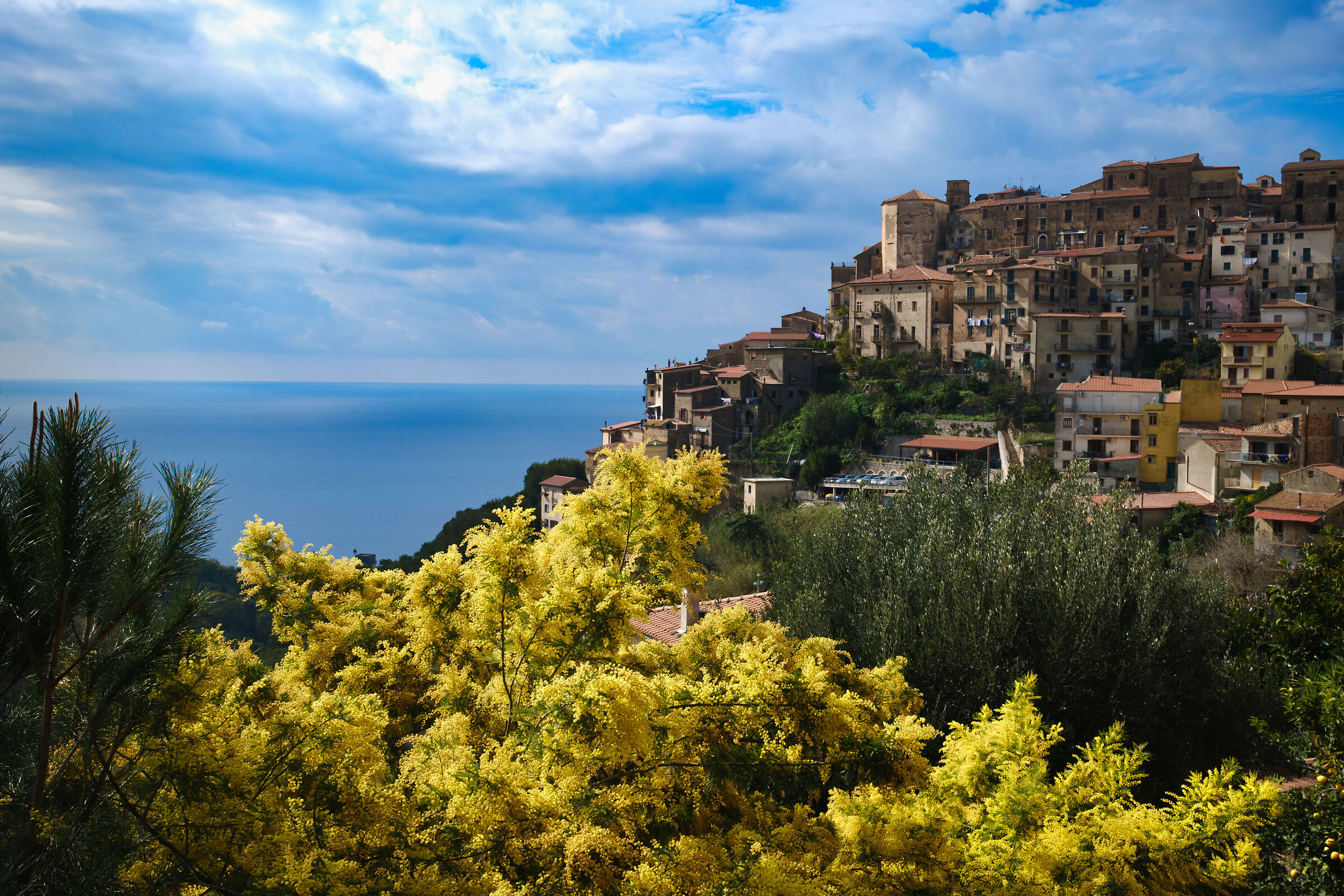 When winter dreams of spring.