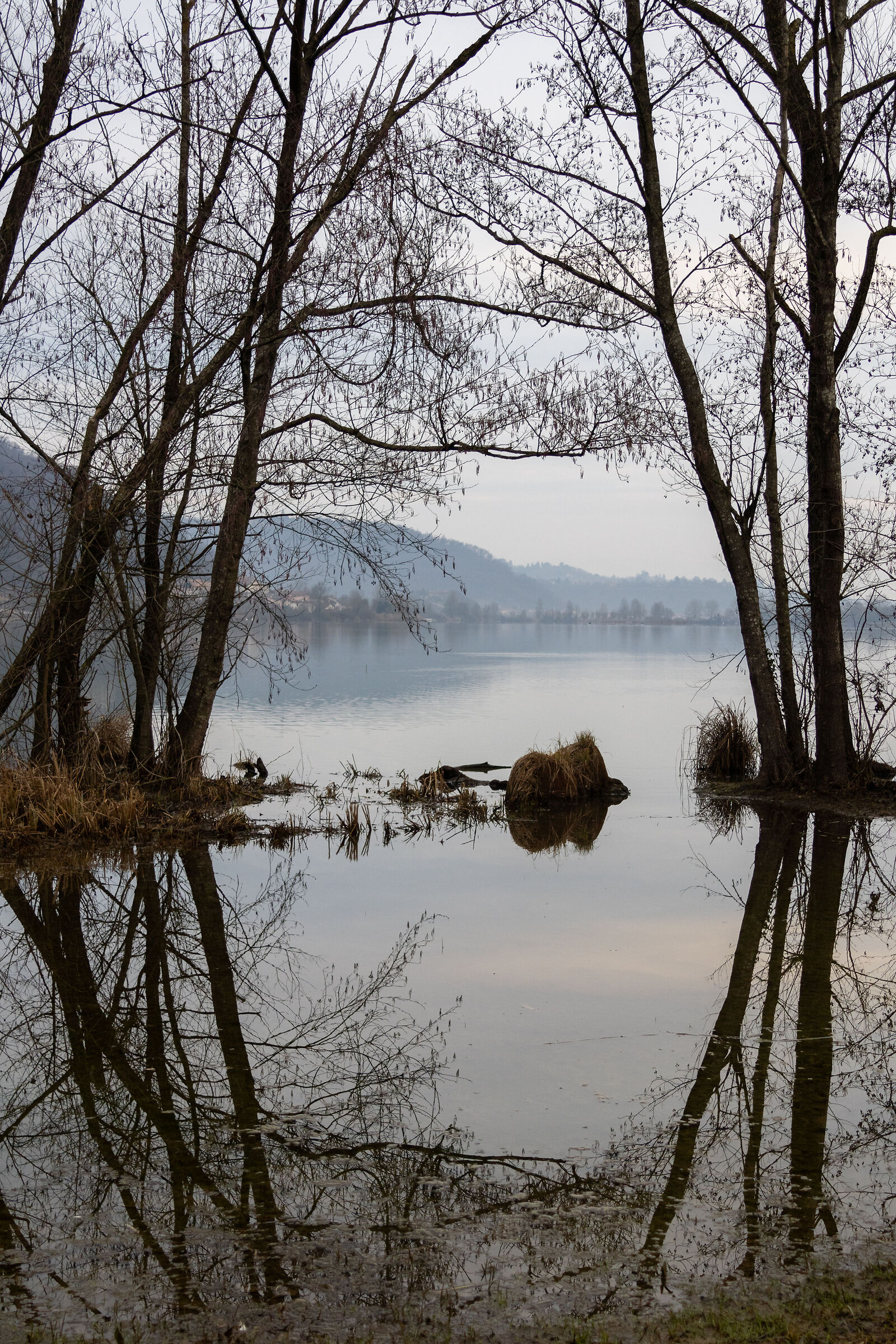Lago di Fimon all'alba