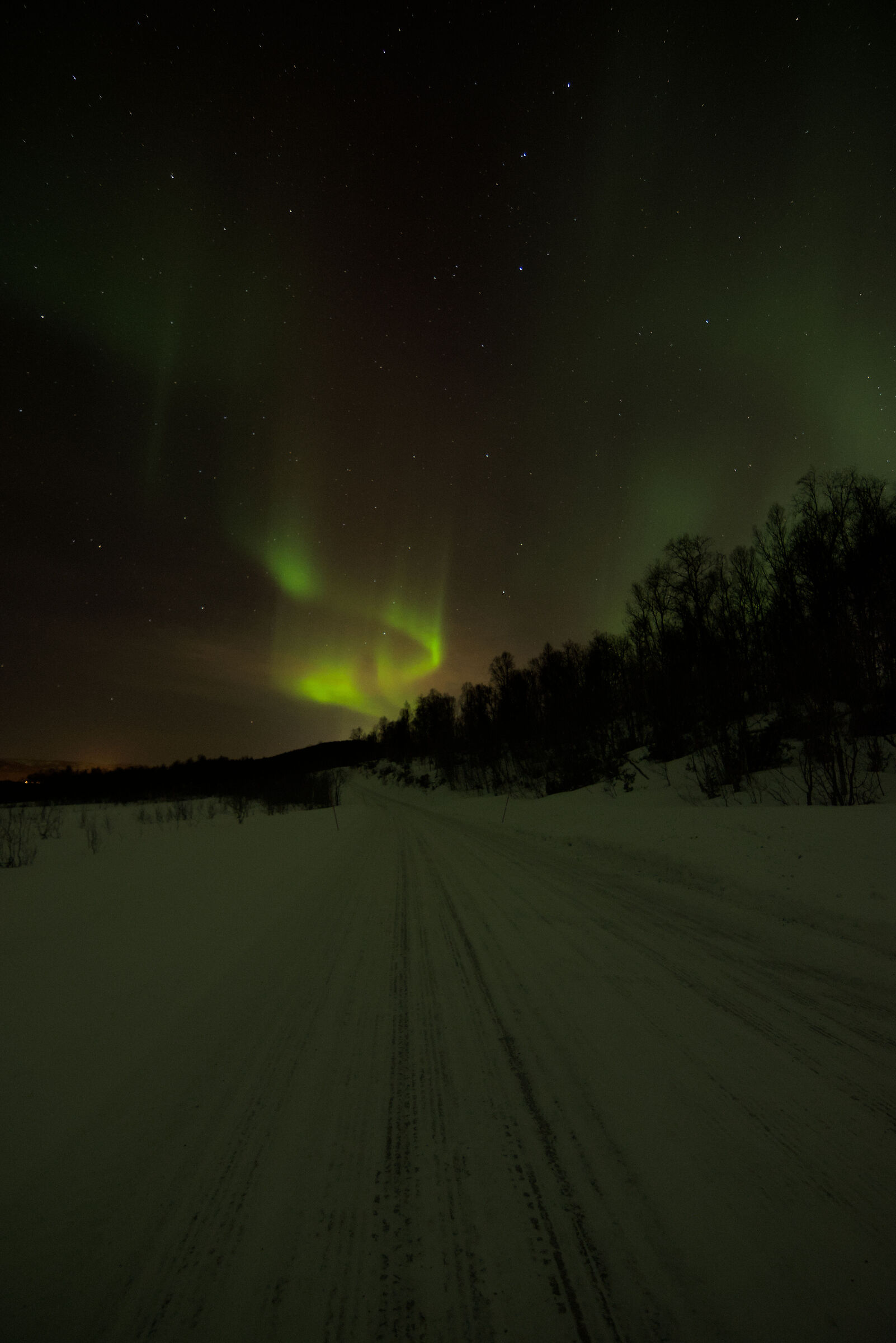 Aurora boreale (aurora boreale), regione di Troms, Norvegia