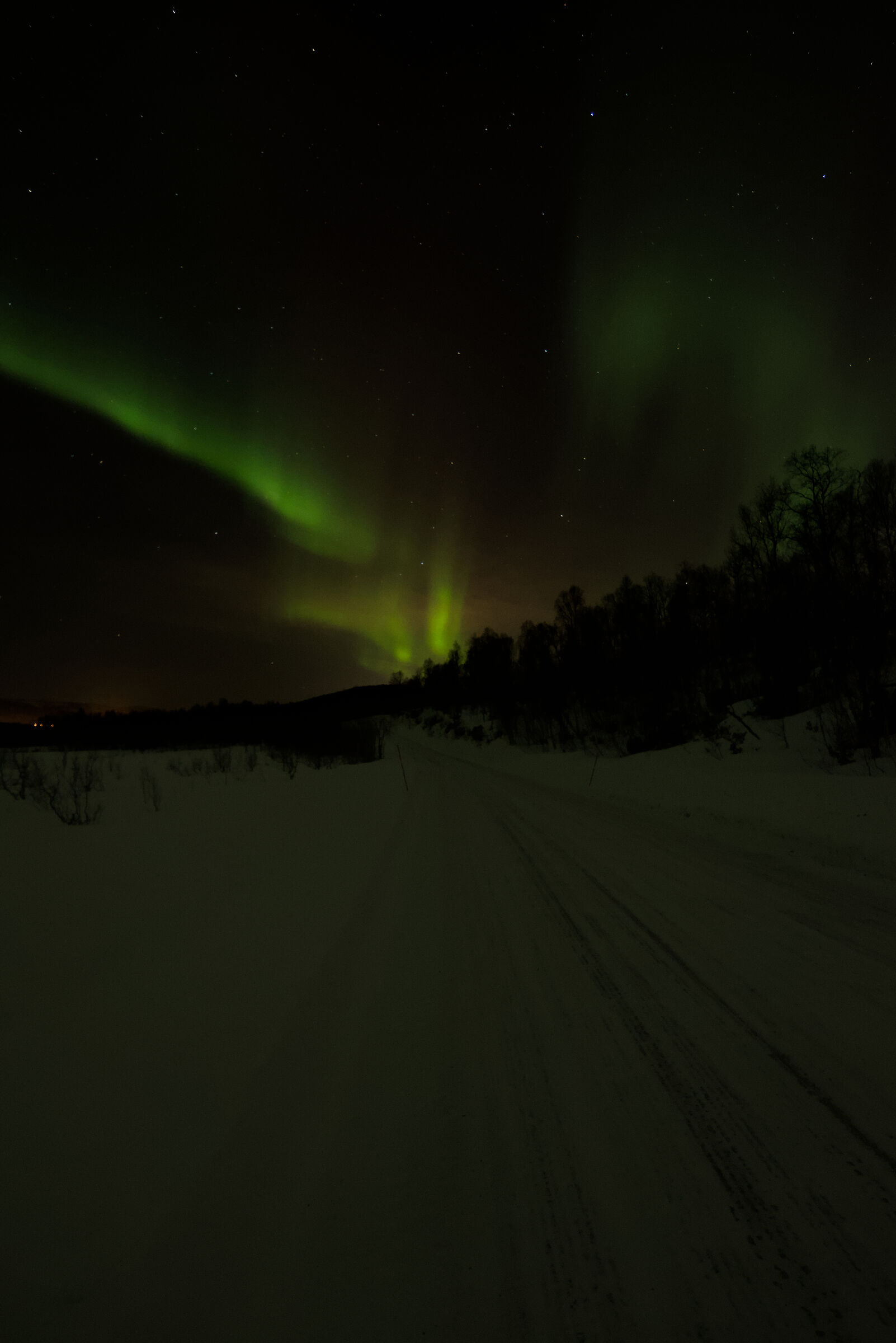 Aurora boreale (aurora boreale), regione di Troms, Norvegia