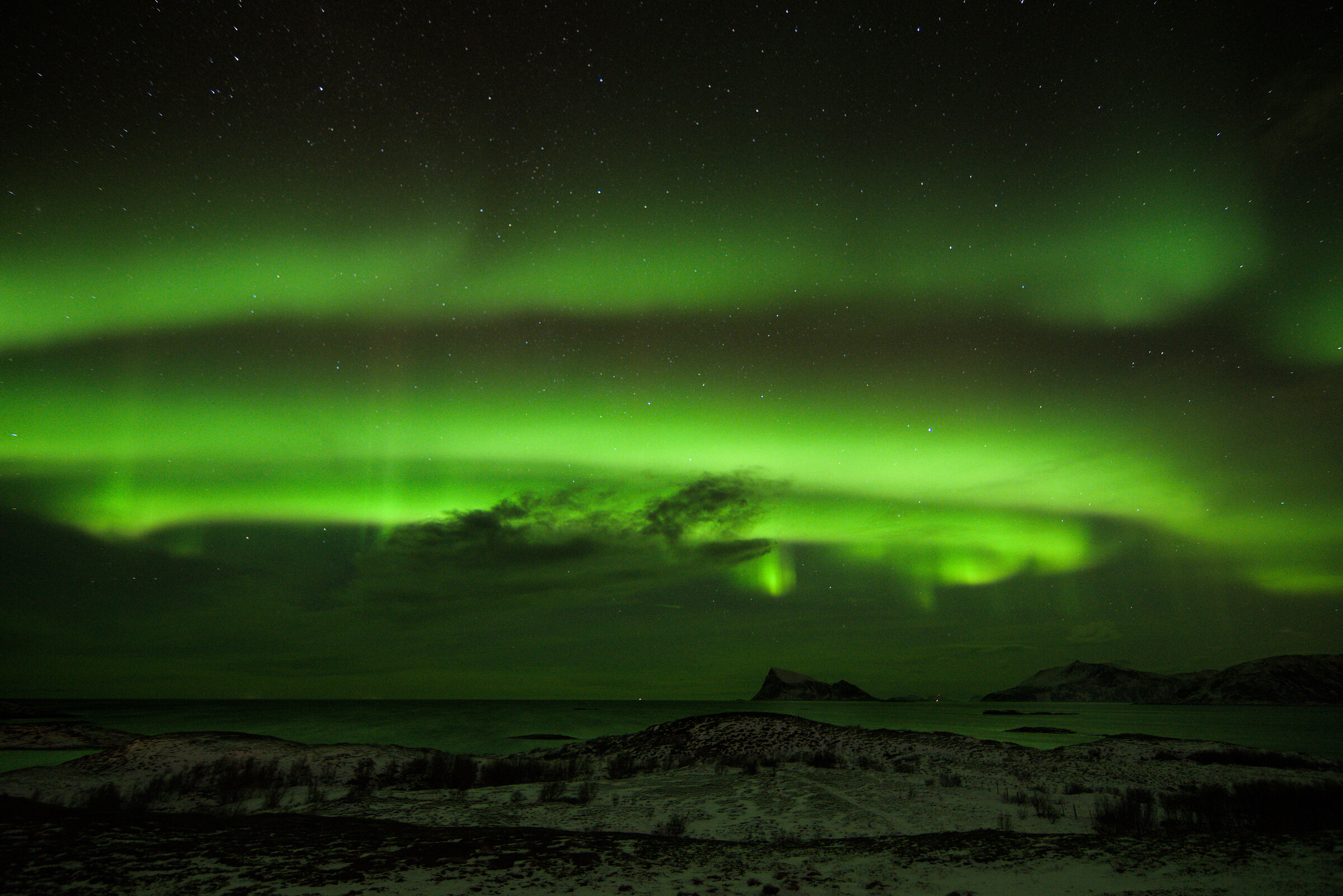 Aurora boreale (aurora boreale), regione di Troms, Norvegia