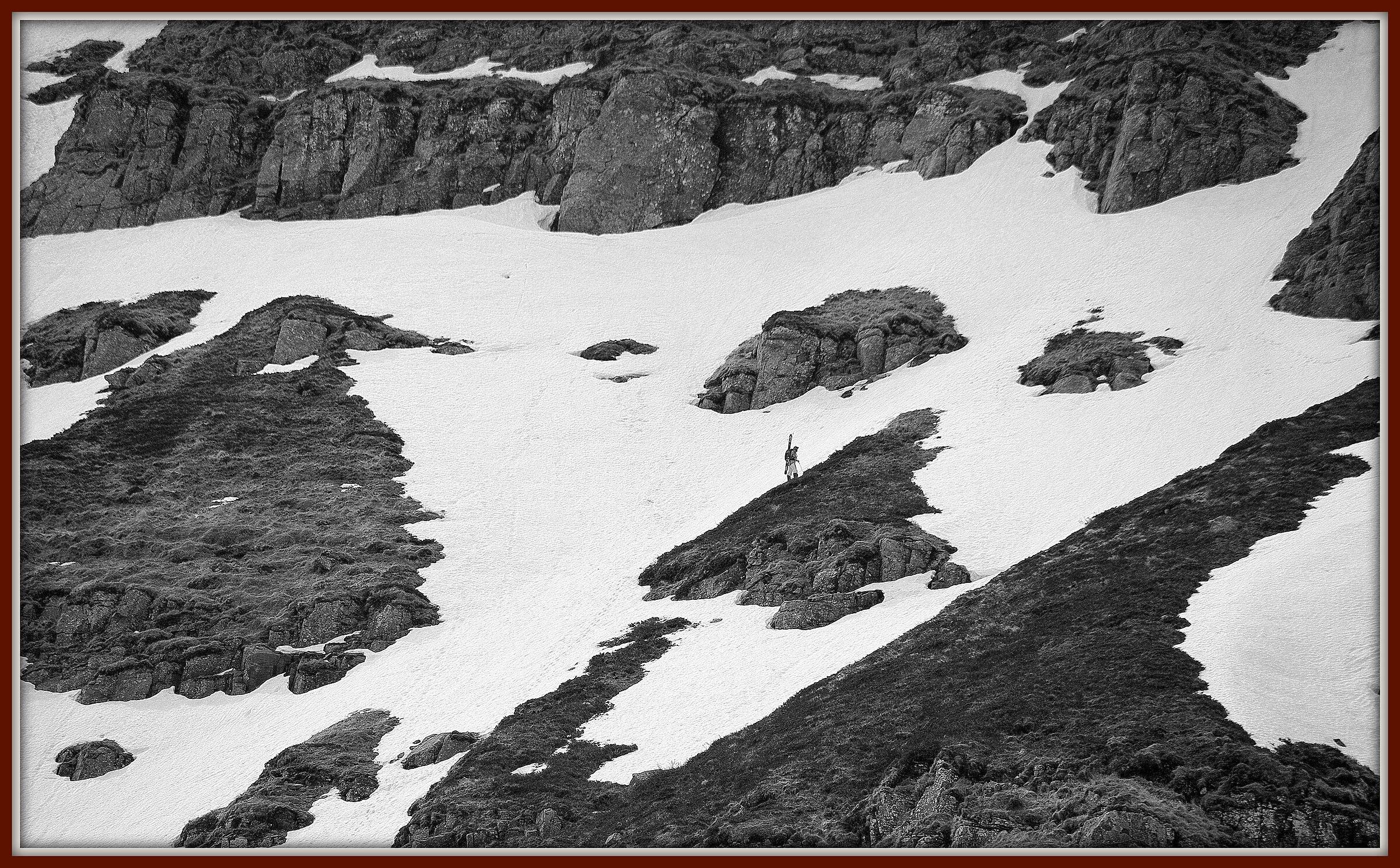 Cercando la via