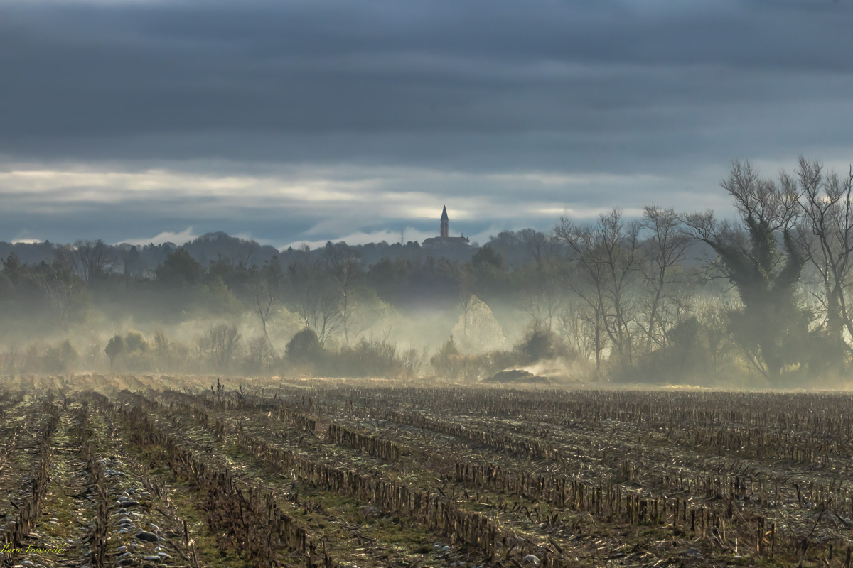 Raggio di sole sulla nebbia del fiume Piave
