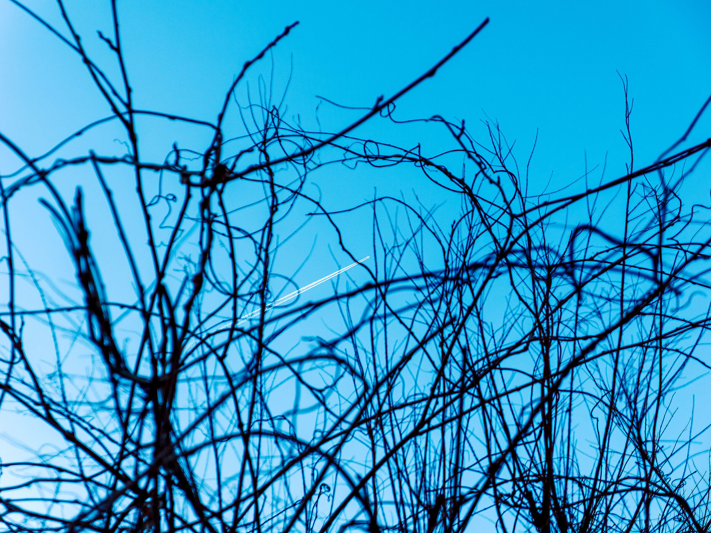 Ideal escape from intricate everyday life