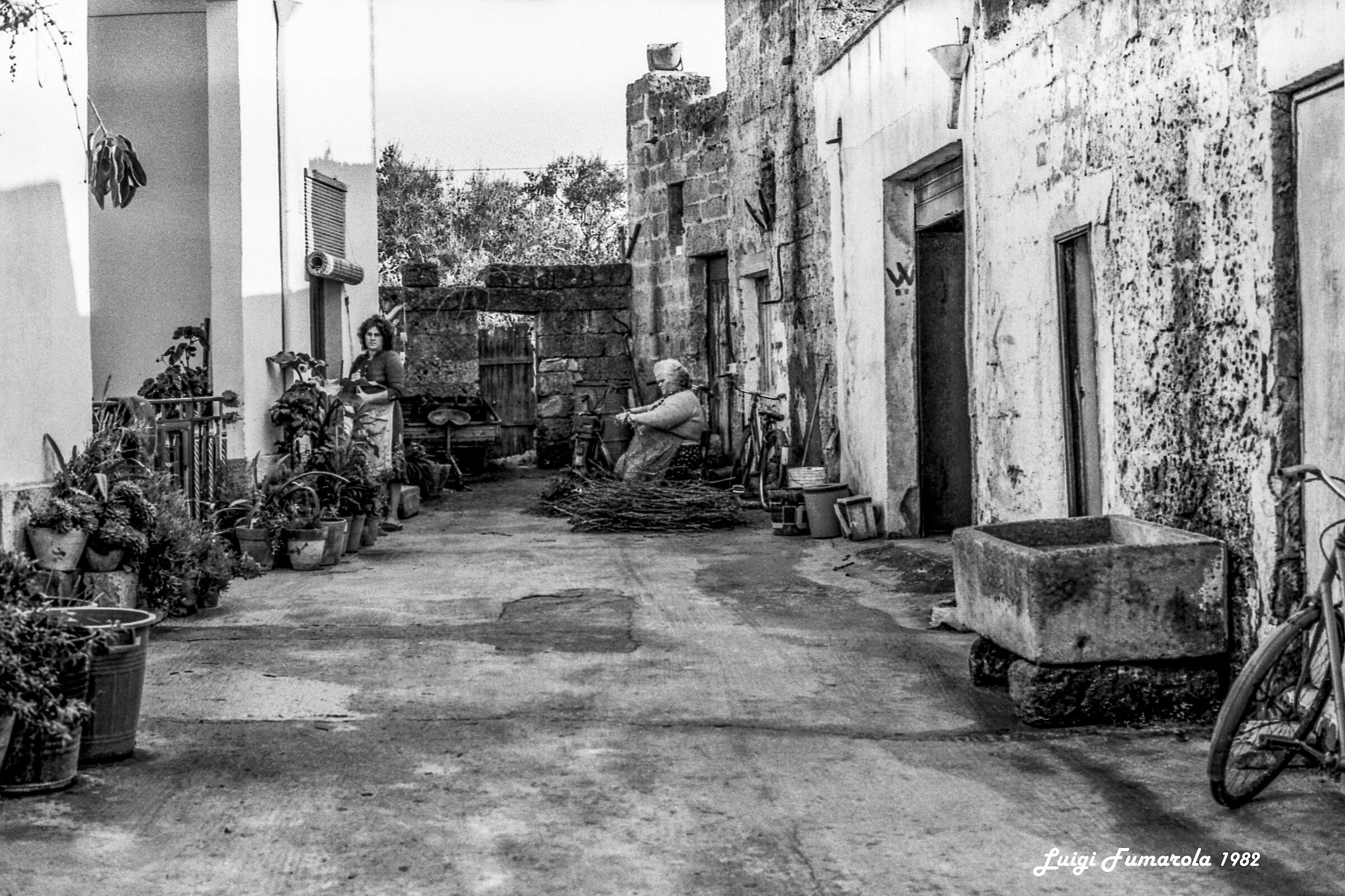 Around the villages of Salento...