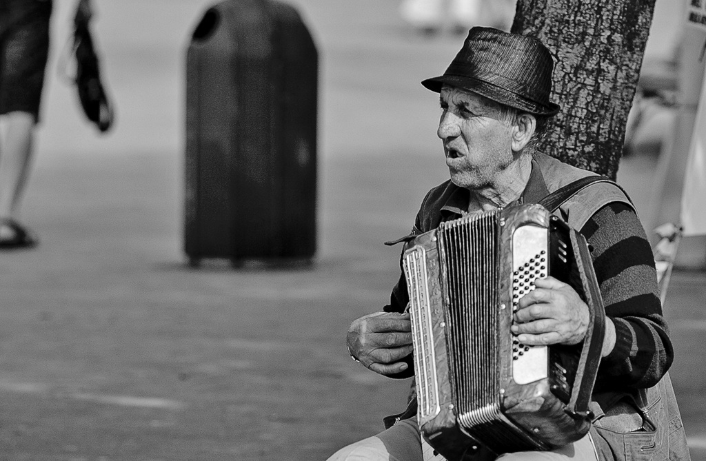 The accordion player