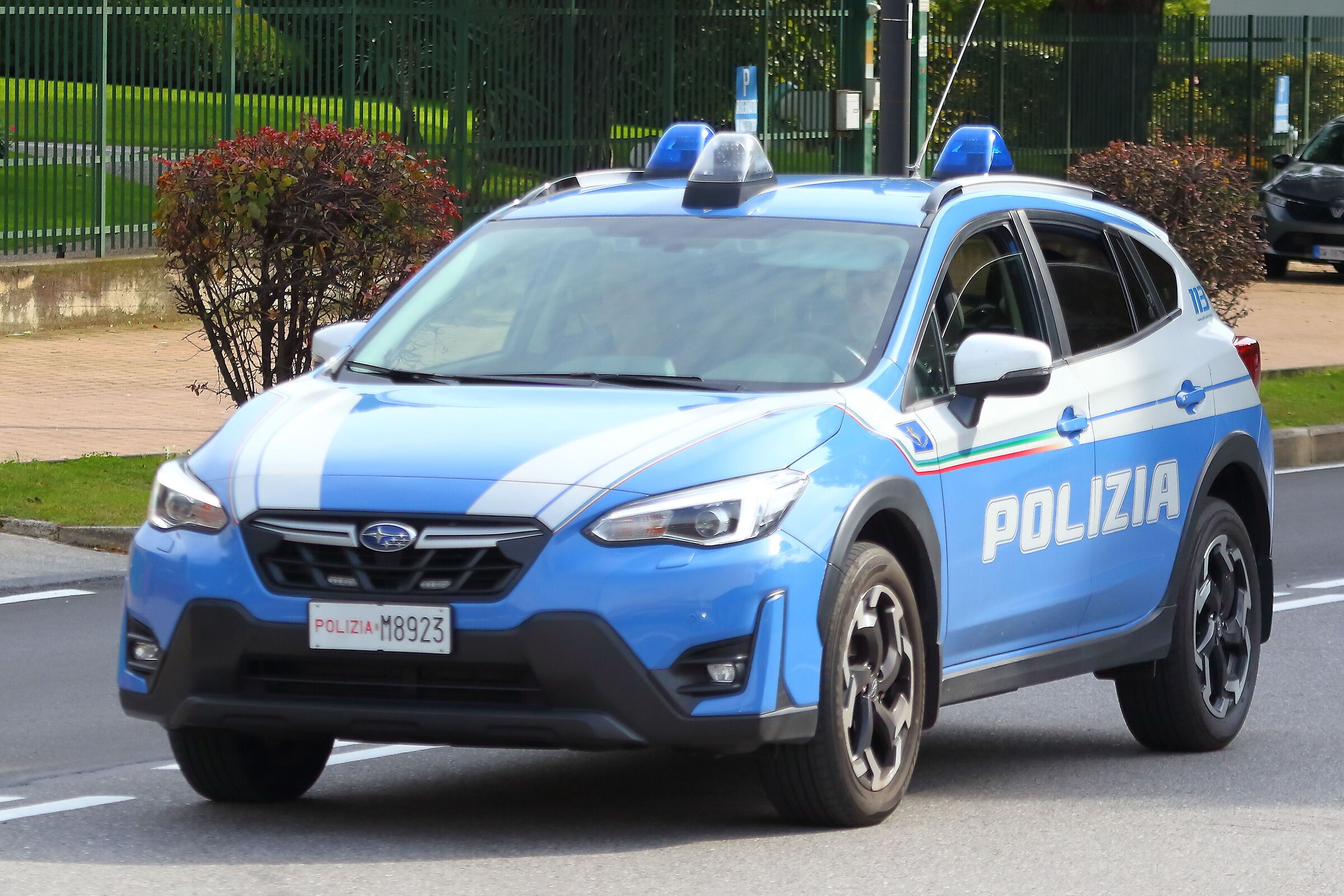 Pantera 12 ottobre 2024 - 0025