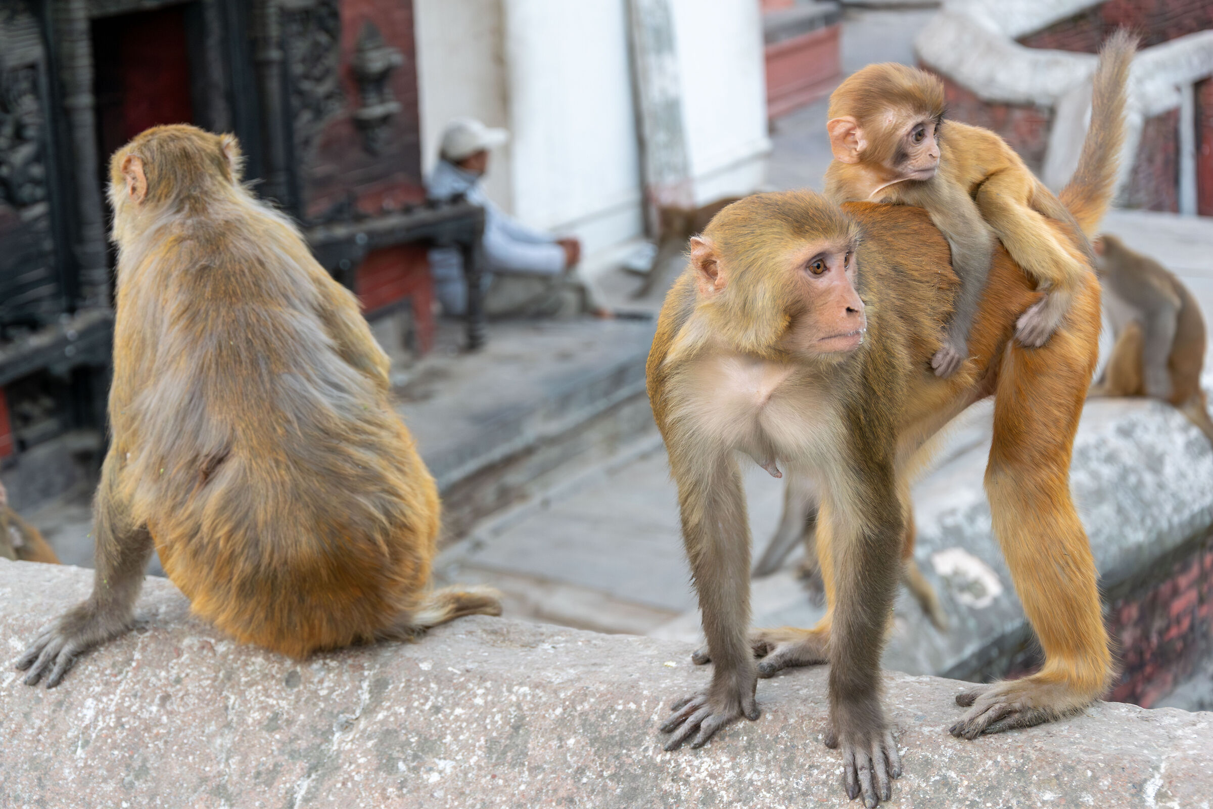 Walking through Kathmandu