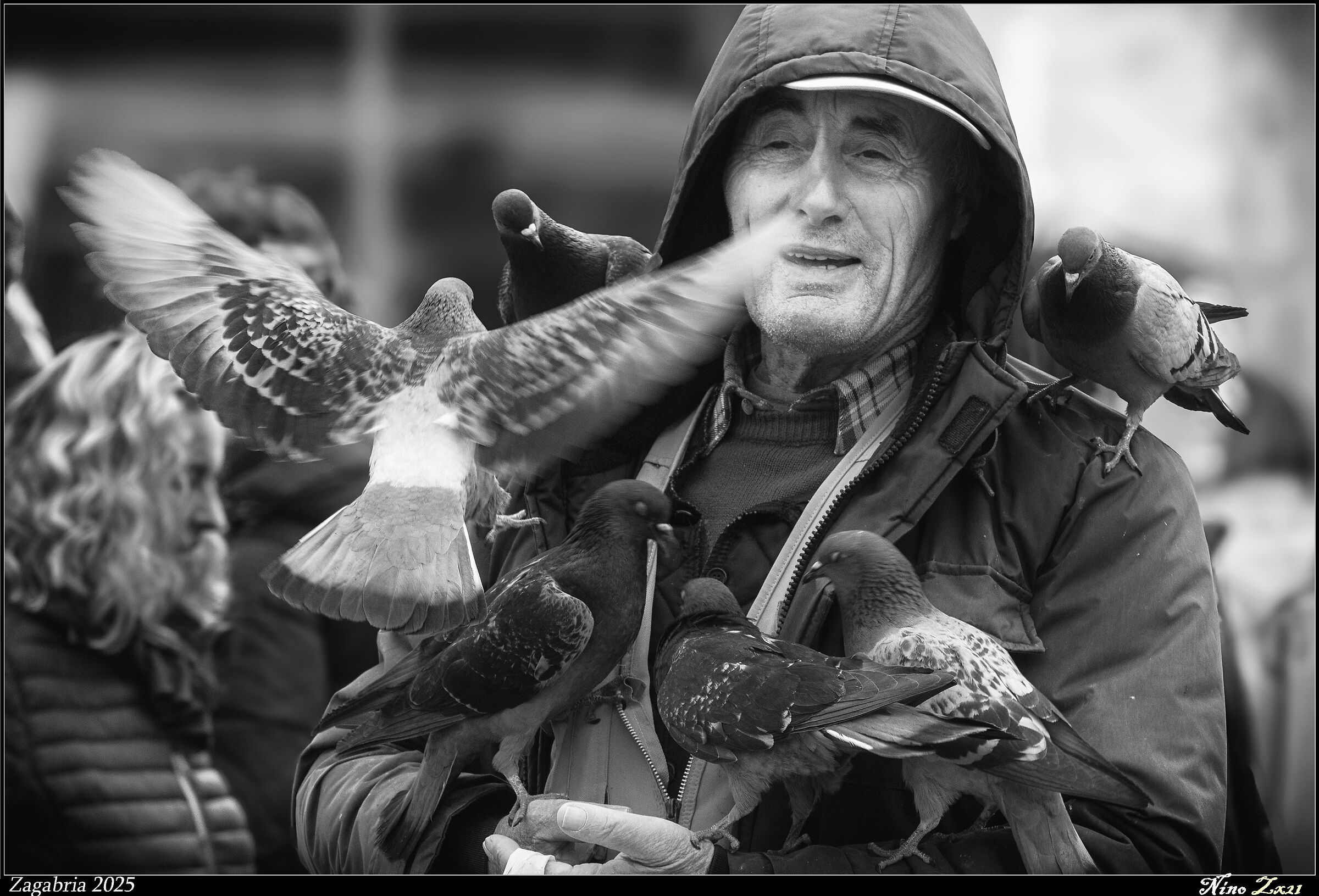 The Pigeon Man