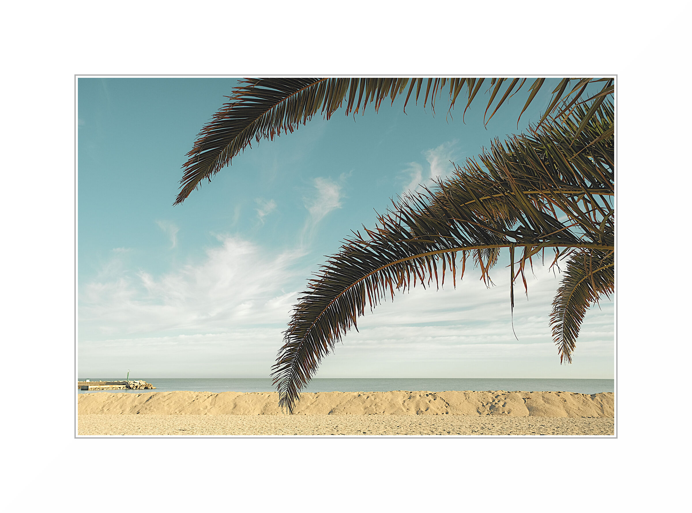 Porto Recanati, 2024