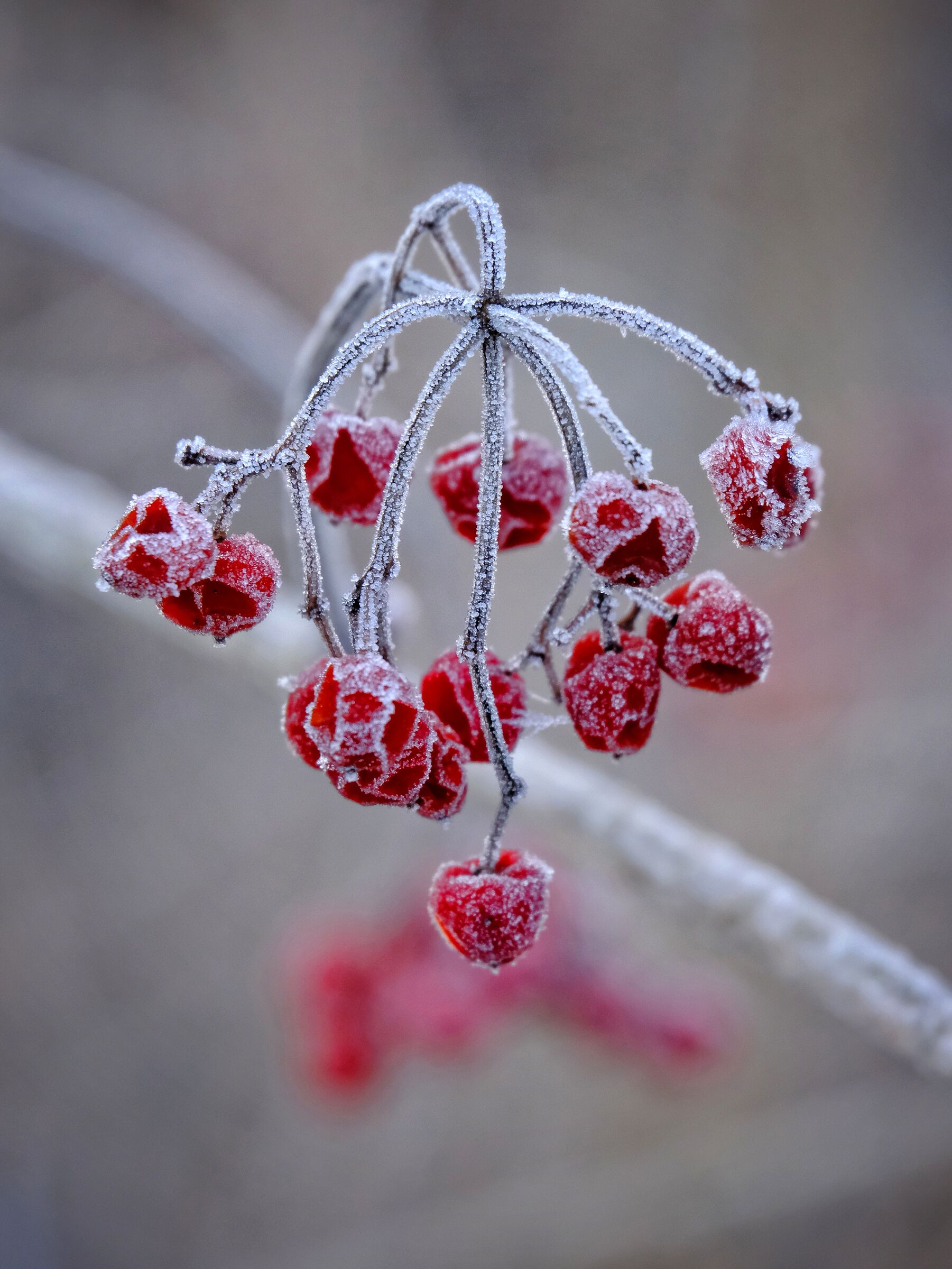 Quel che resta dell"inverno