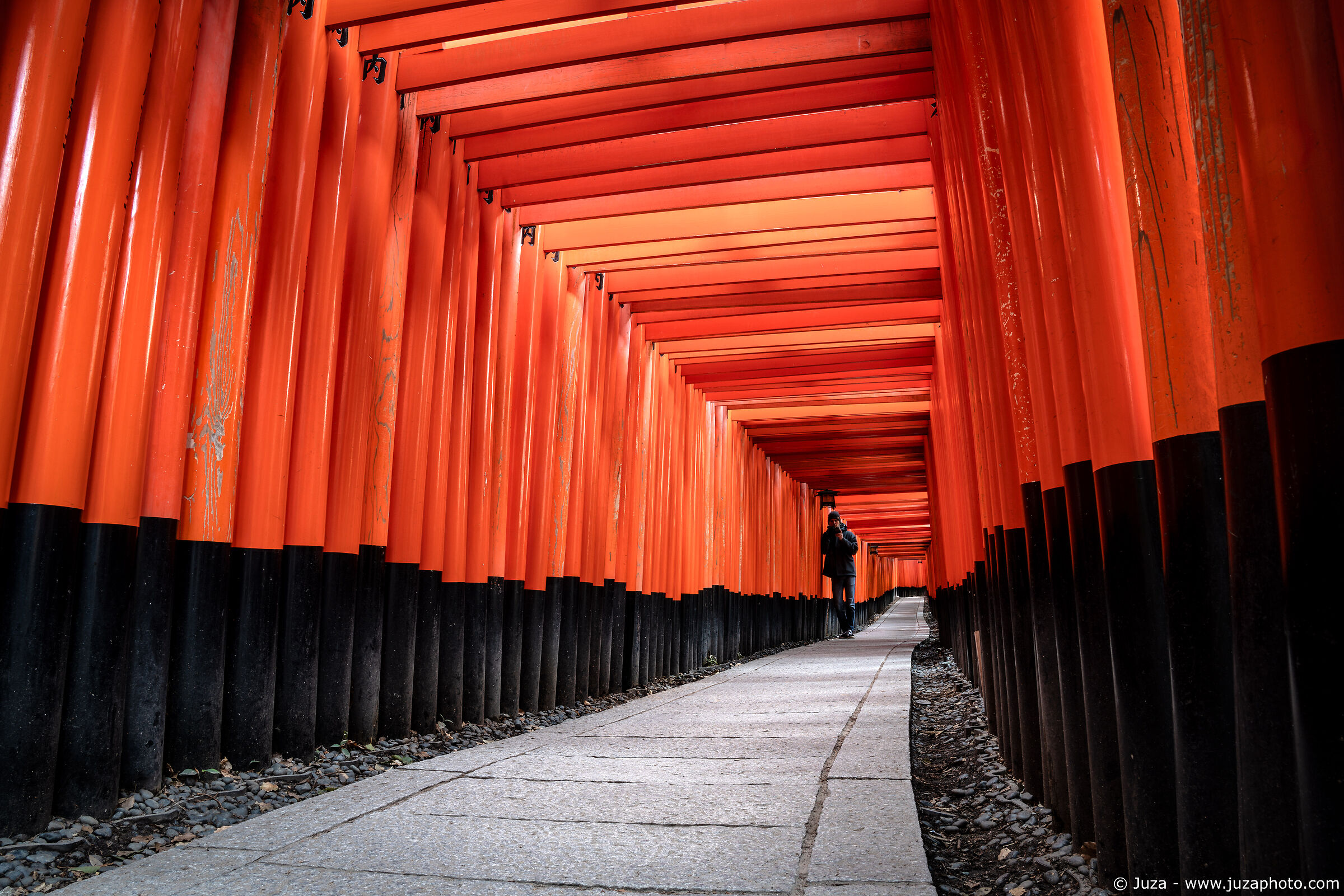 The Ten Thousand Tori Gates of Fushimi Inari-taisha