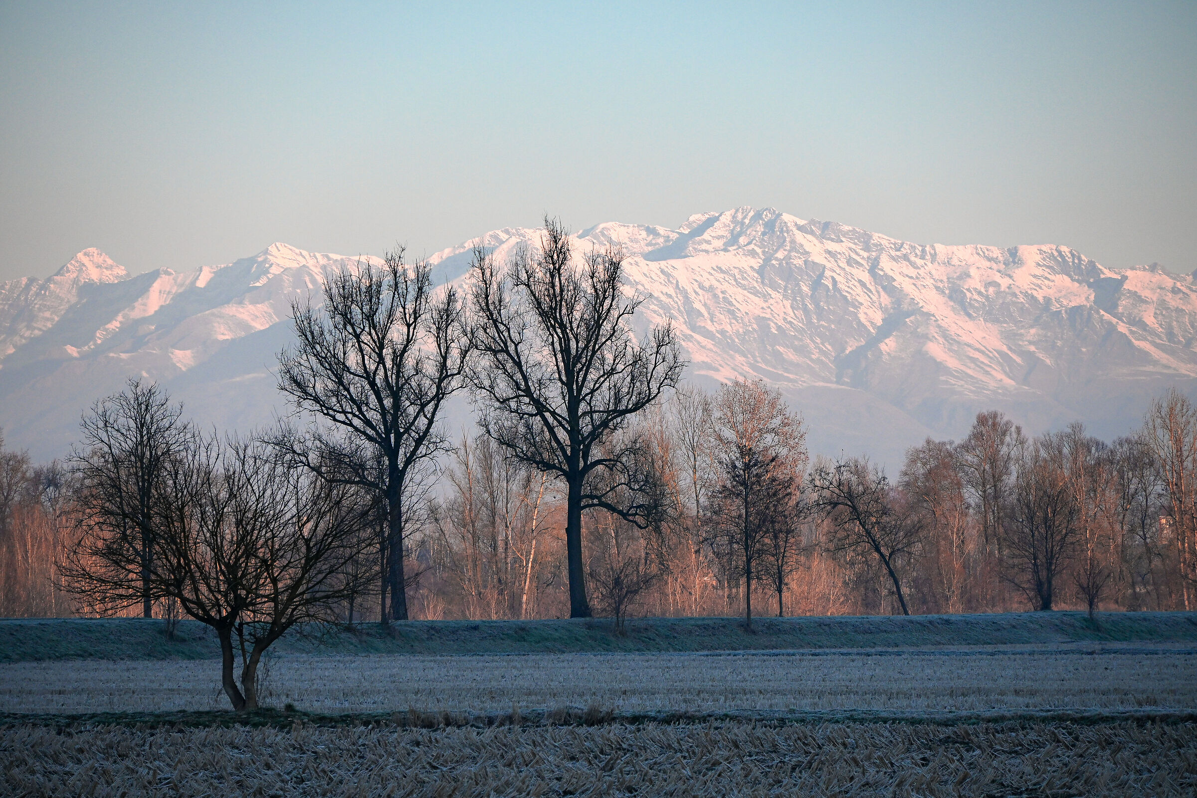 Frost at dawn