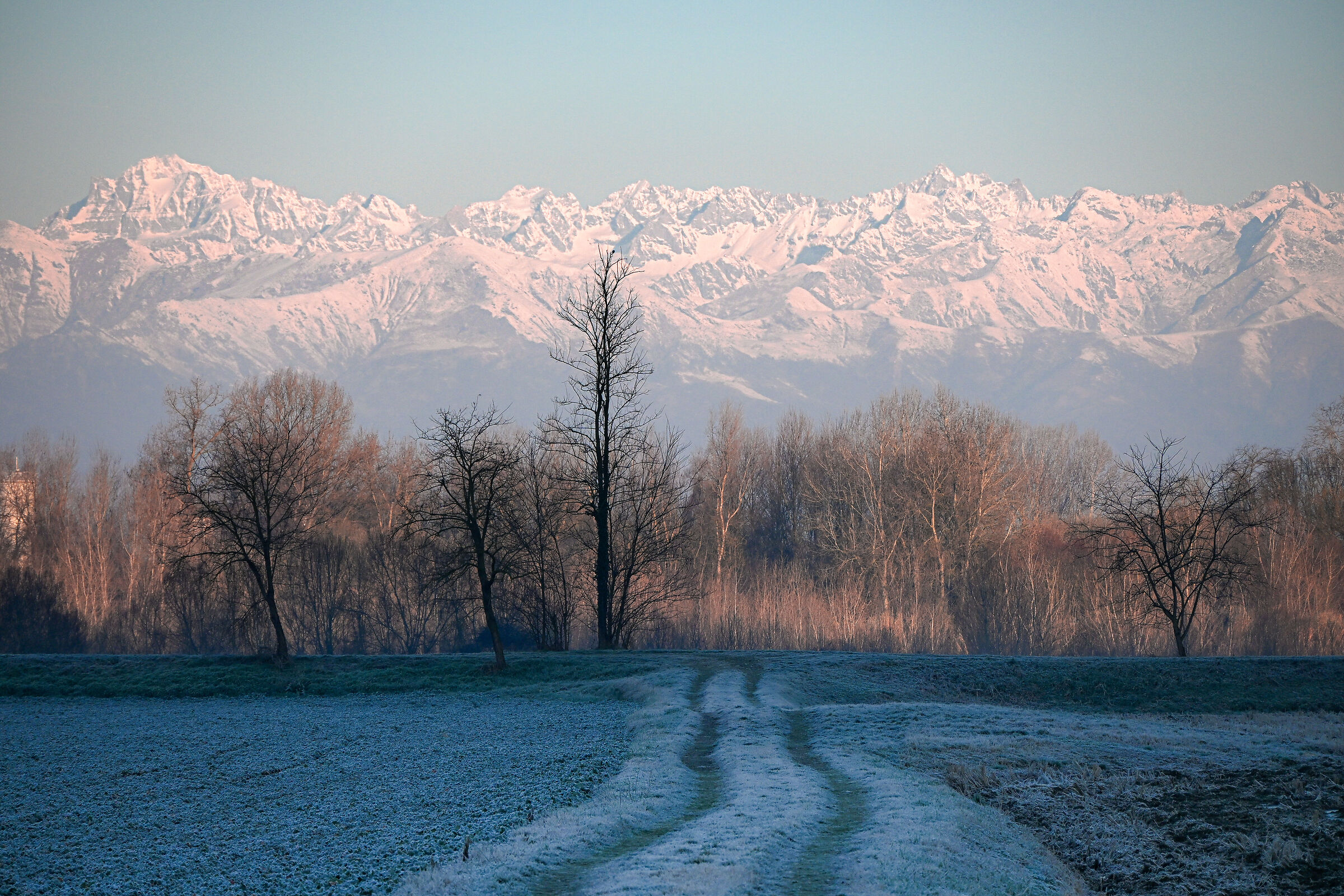 Gelo all'alba