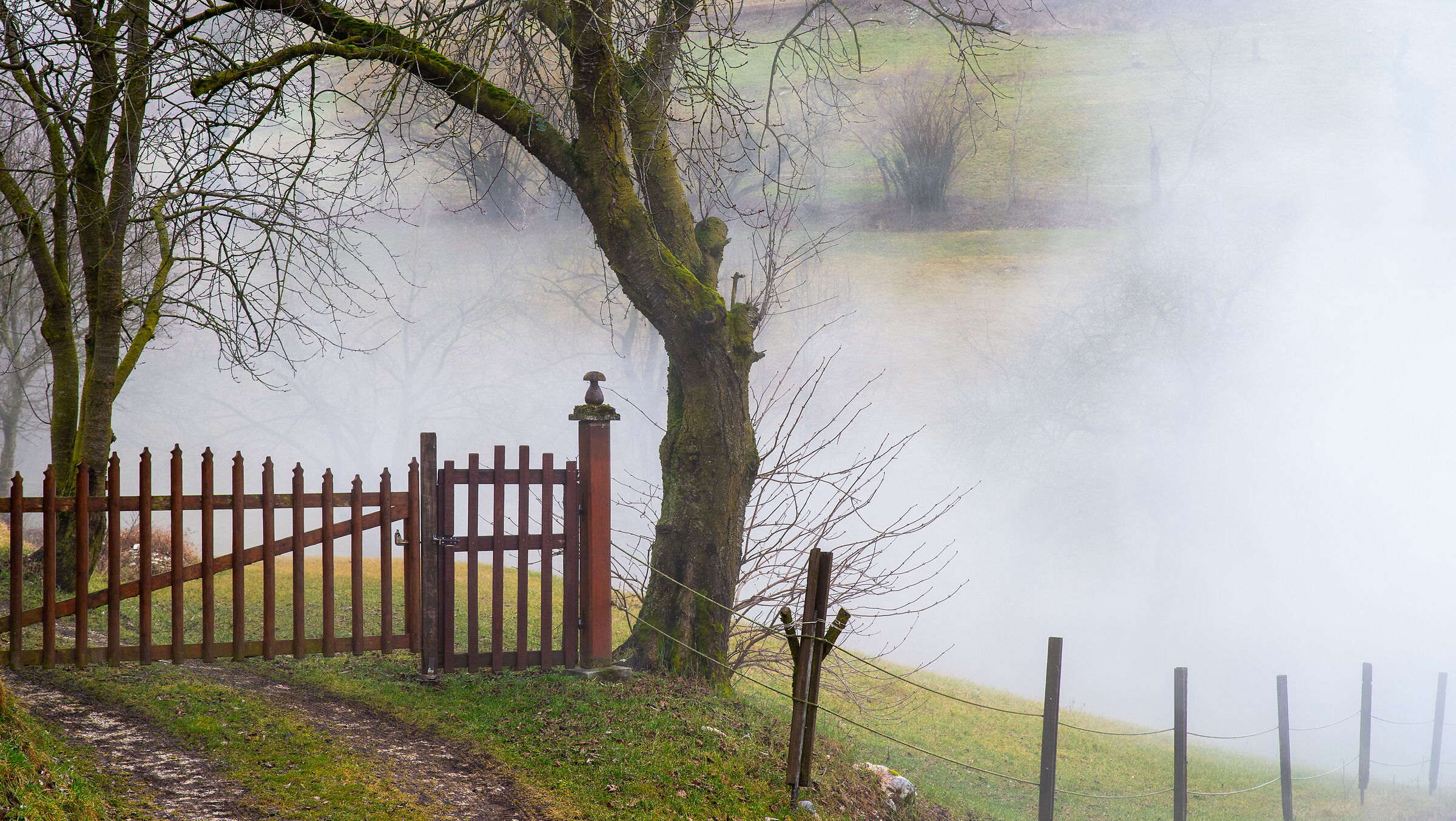 Sale la Nebbia ai Pascoli
