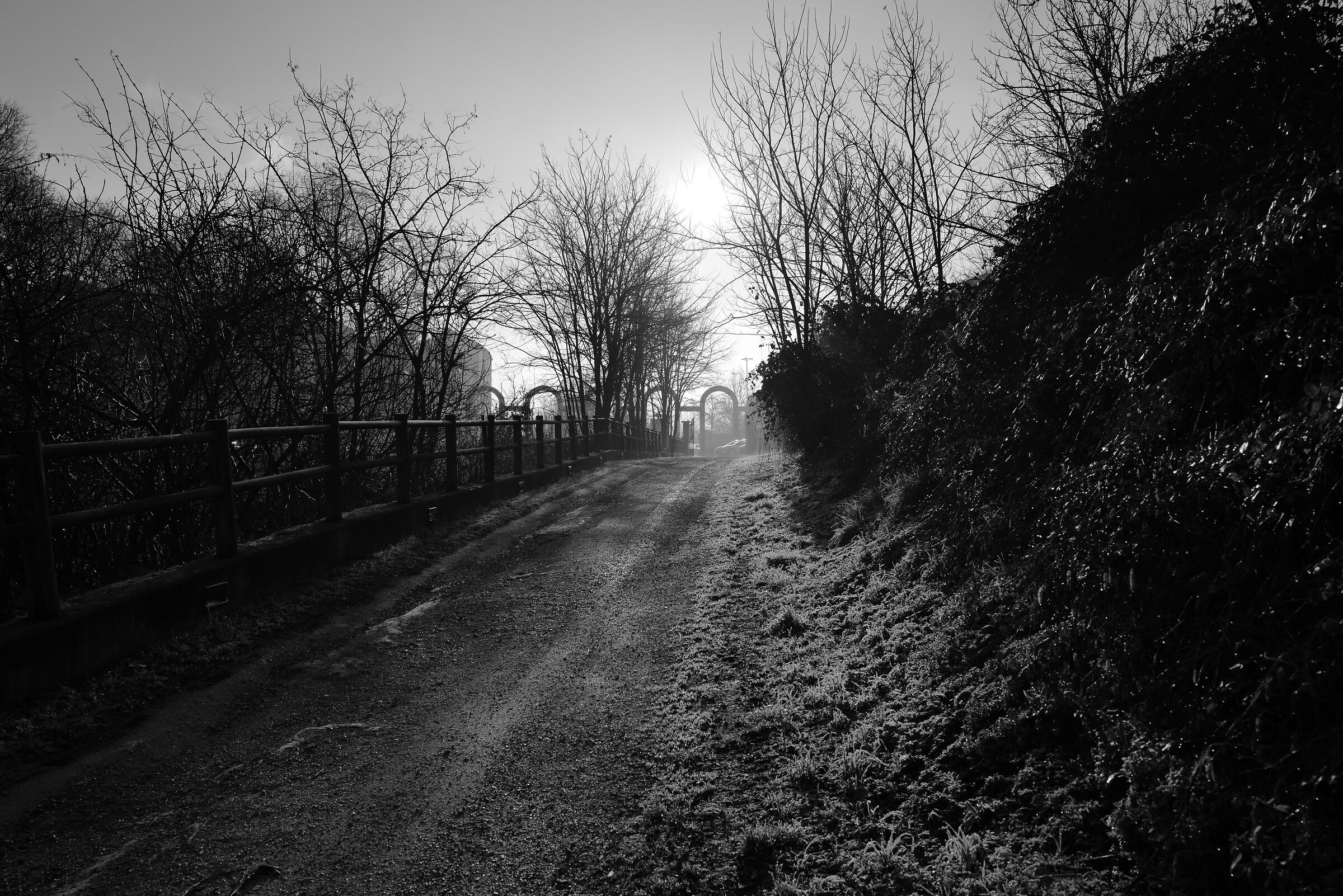Nel fossato, lungo la ferrovia