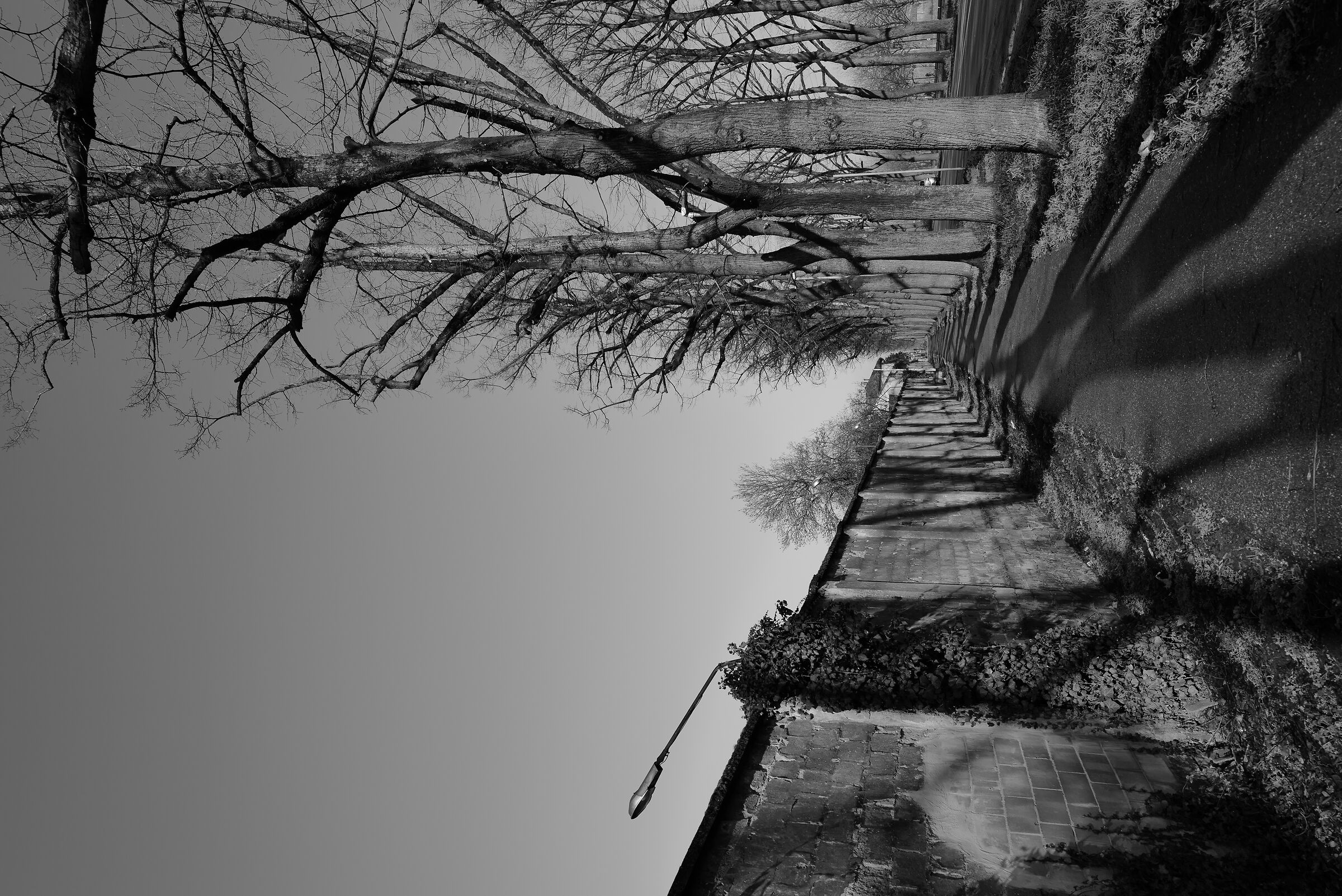 lungo il muro della Necchi