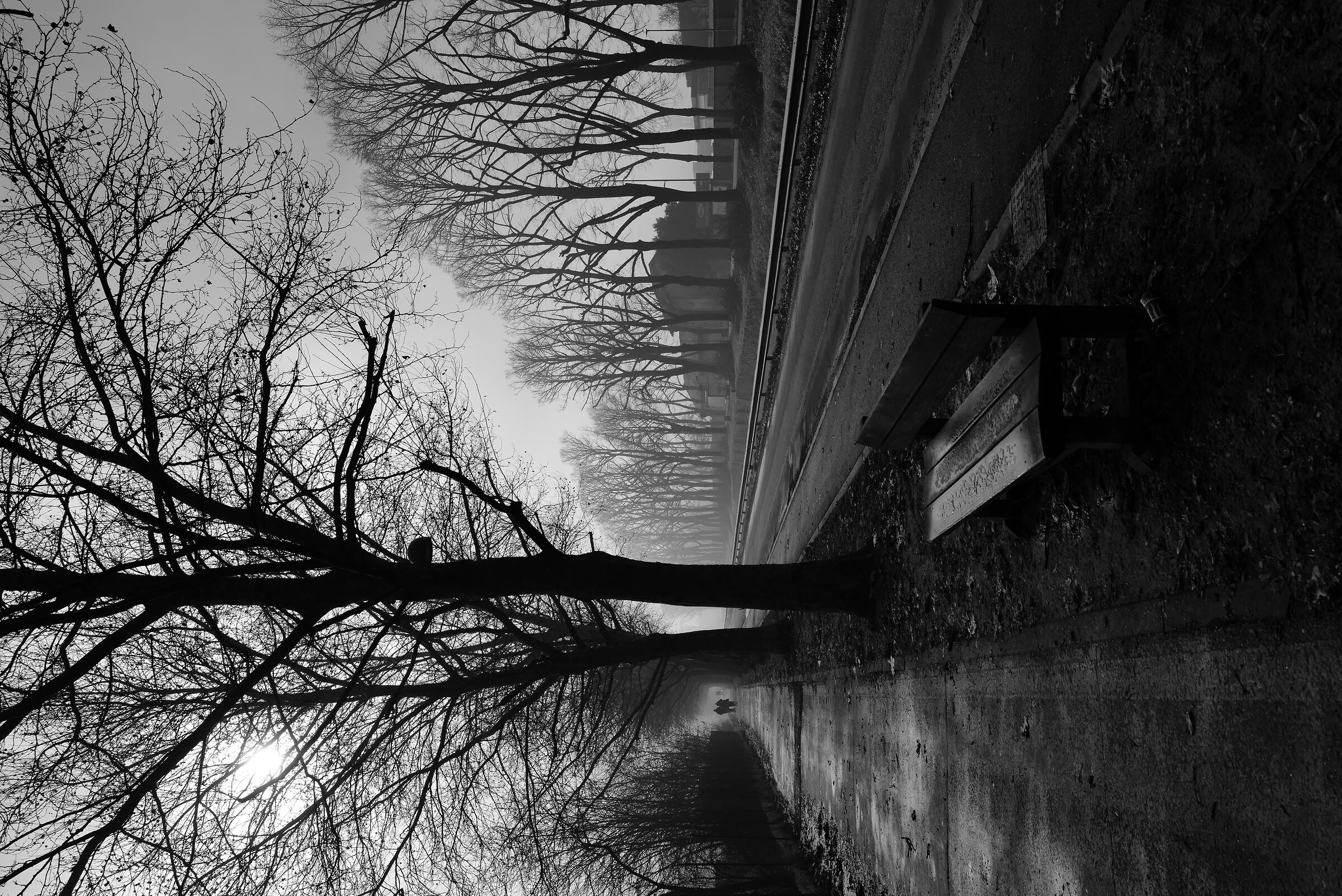 L'alzaia del Naviglio verso Città Giardino