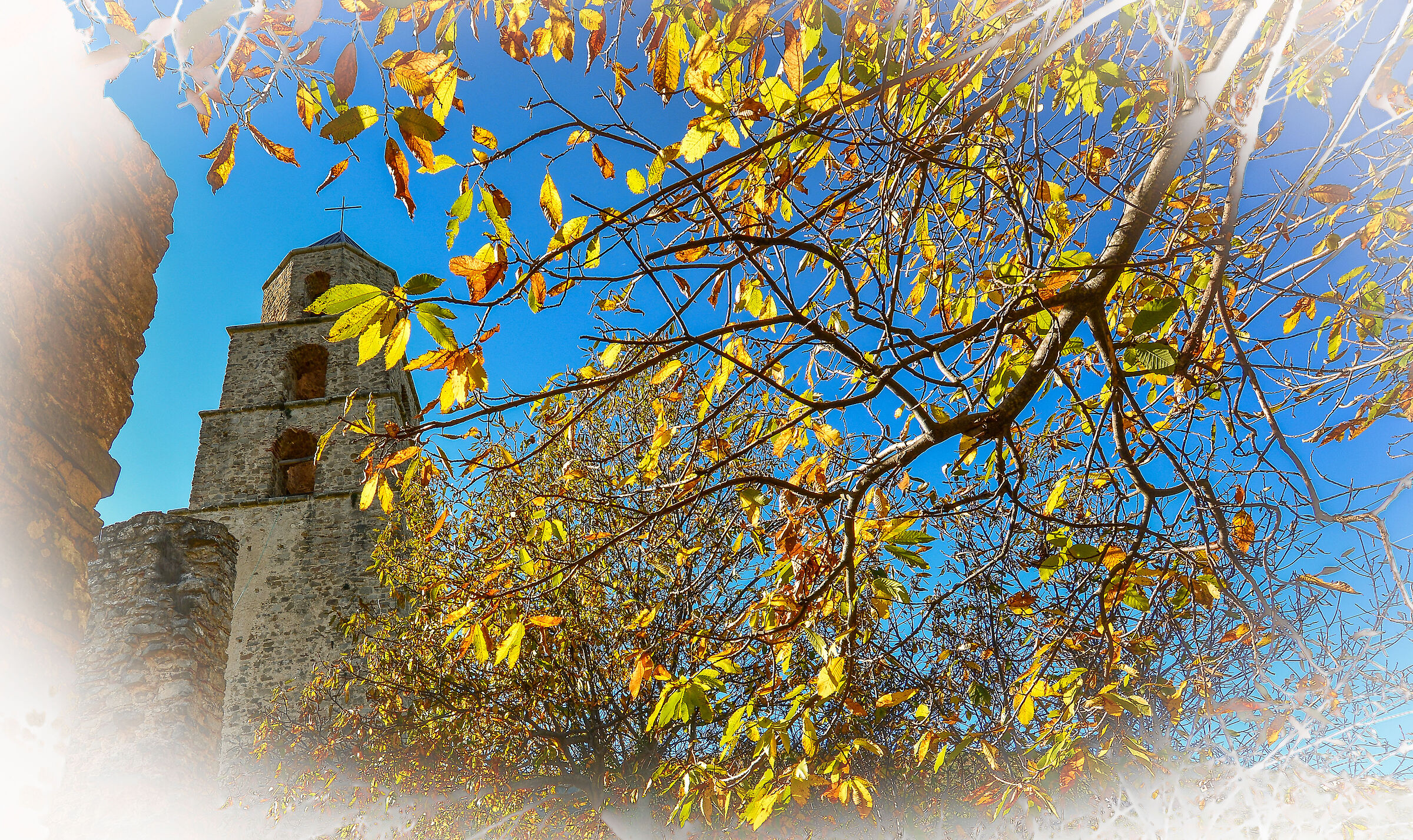 Untitled Photo