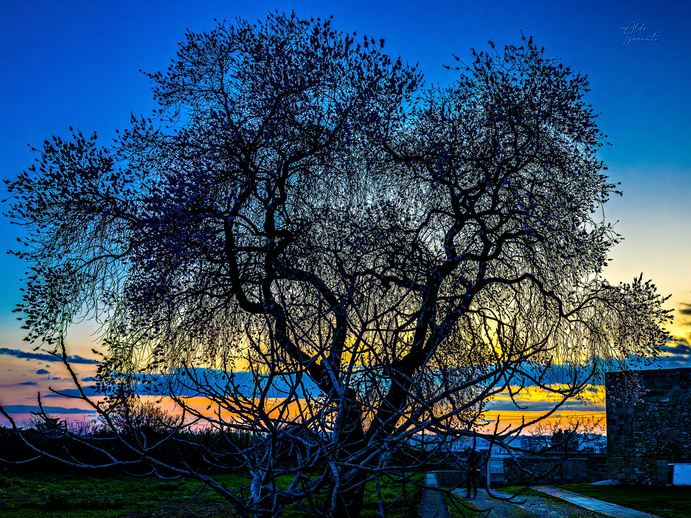 Tramonto a Muro Leccese