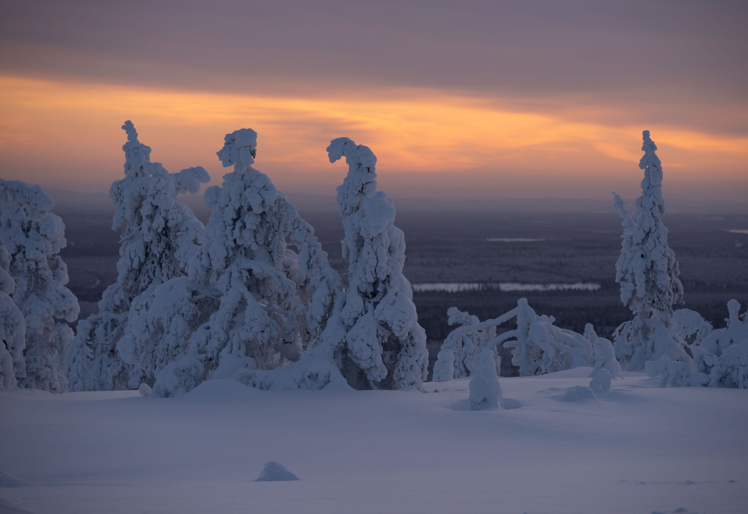 Lappish sunset