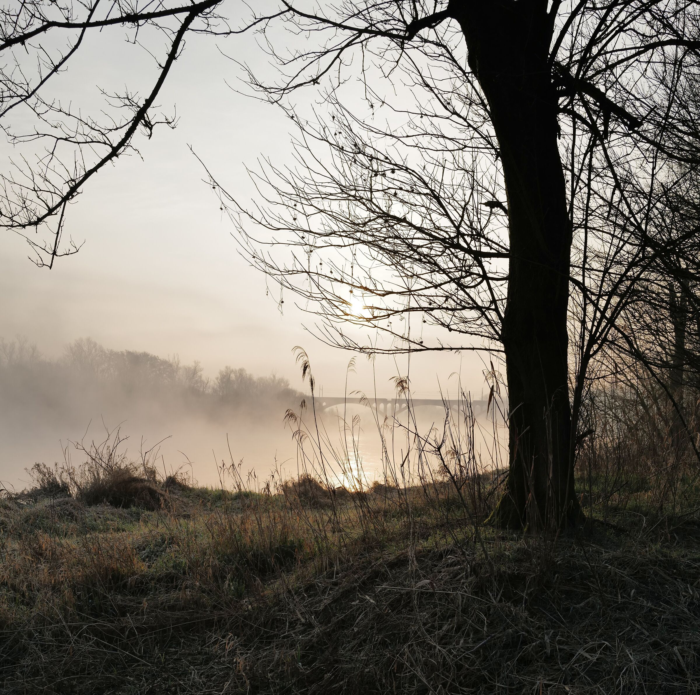 il ponte della ferrovia sul Ticino la mattina, febbraio