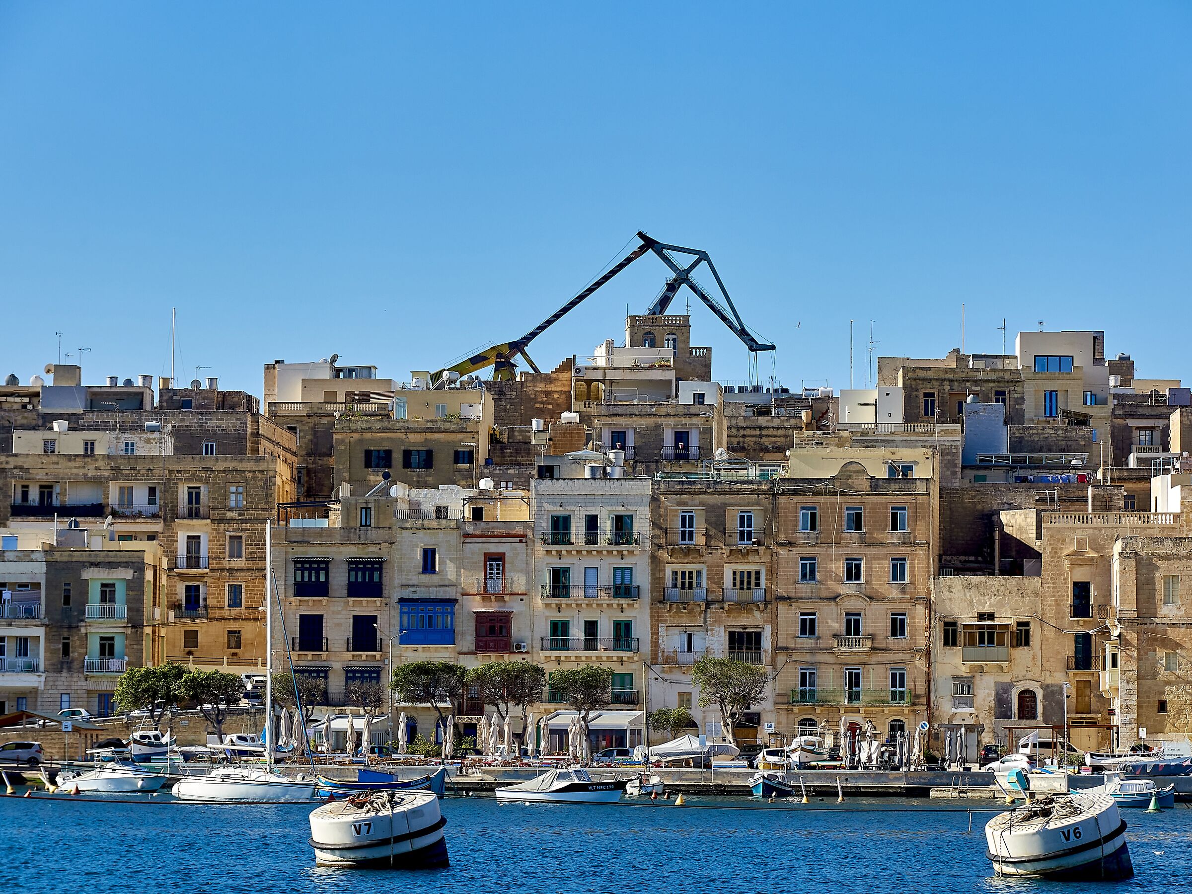 Senglea