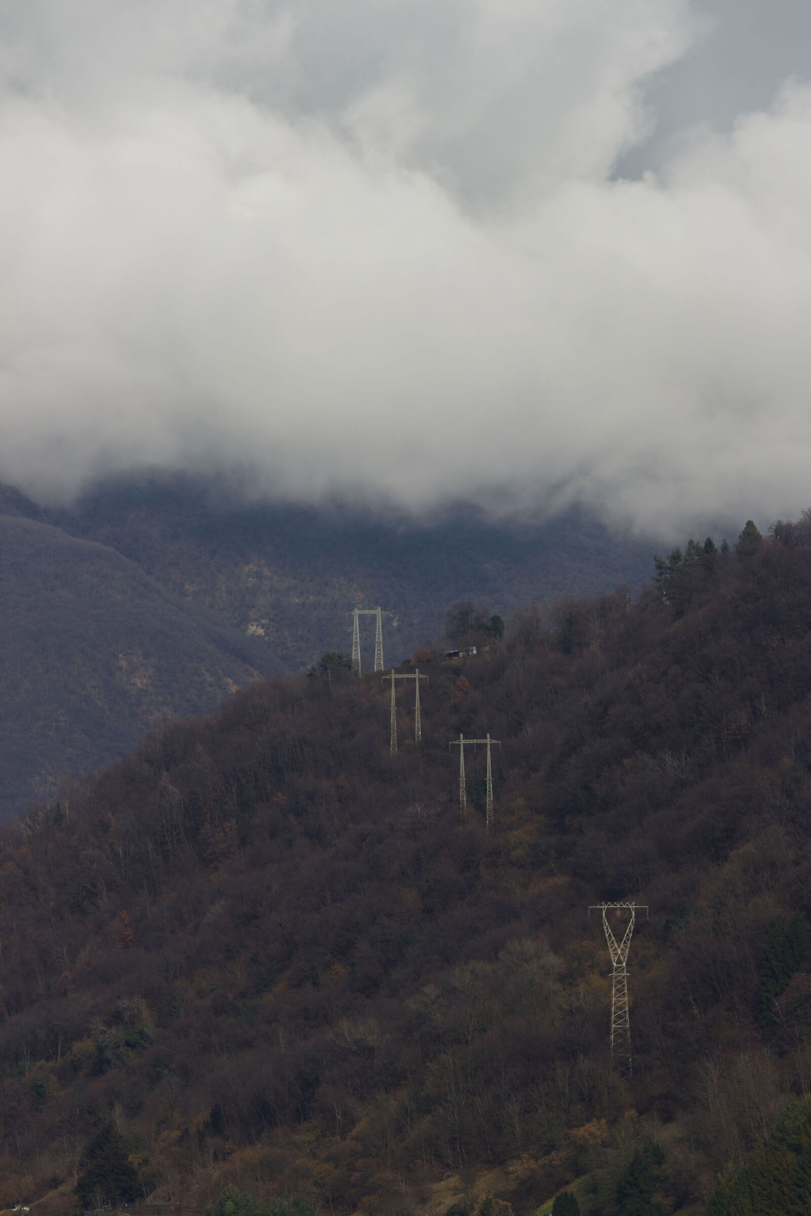 Untitled Photo