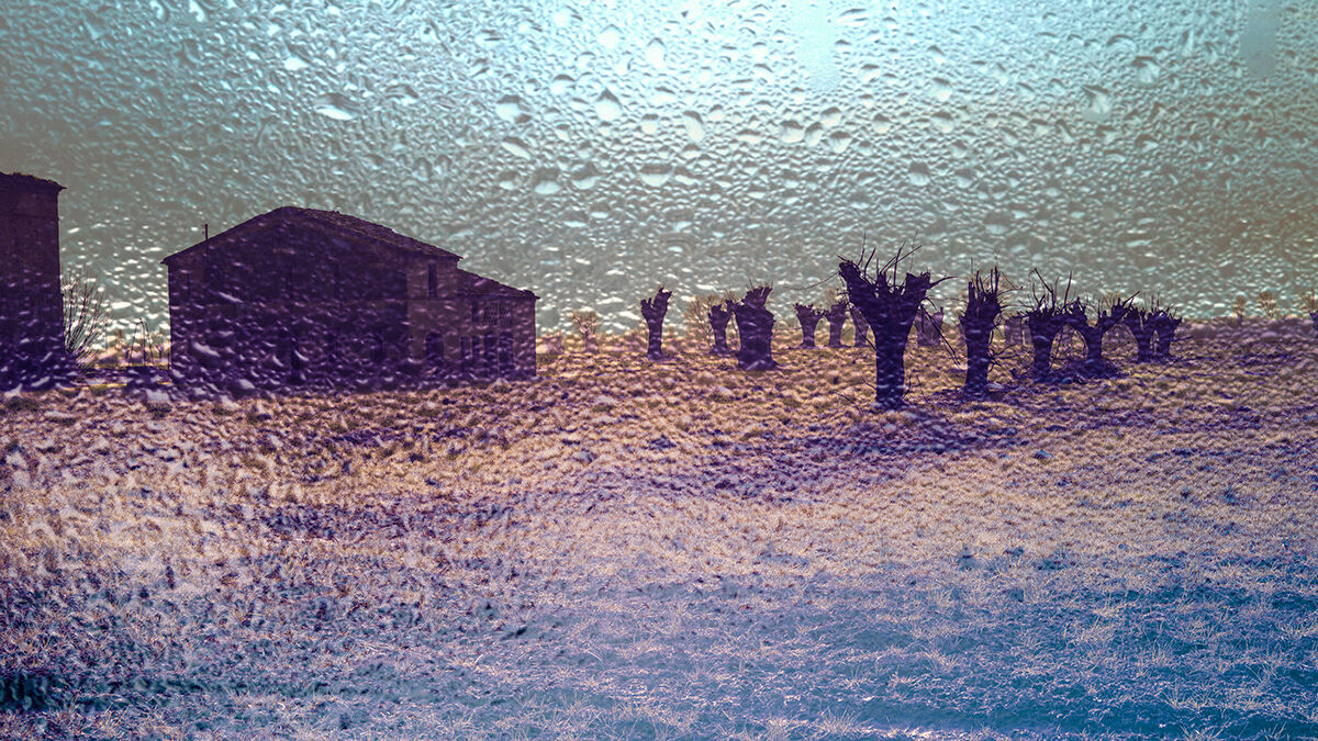After the rain, abandoned farmhouse