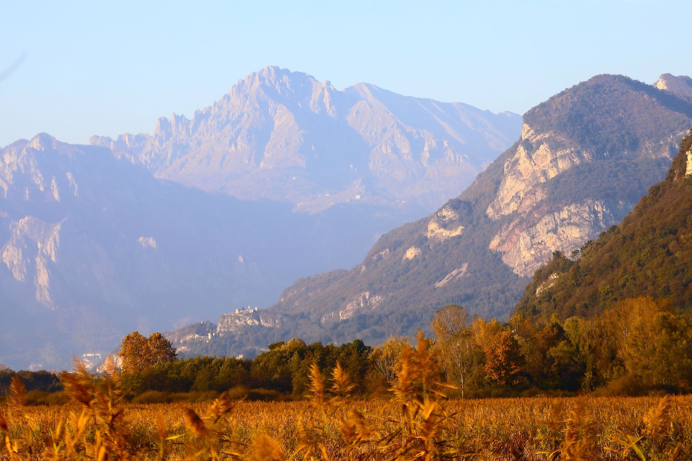 Dalla palude 11 novembre 2024 - 0069