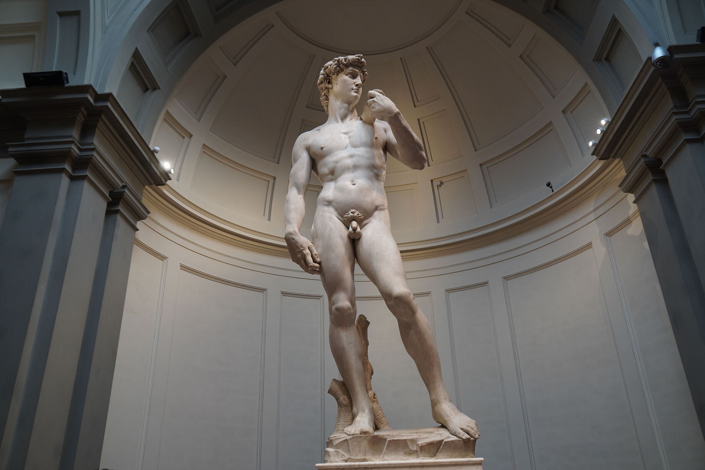 Michelangelo "David" - Accademia Gallery