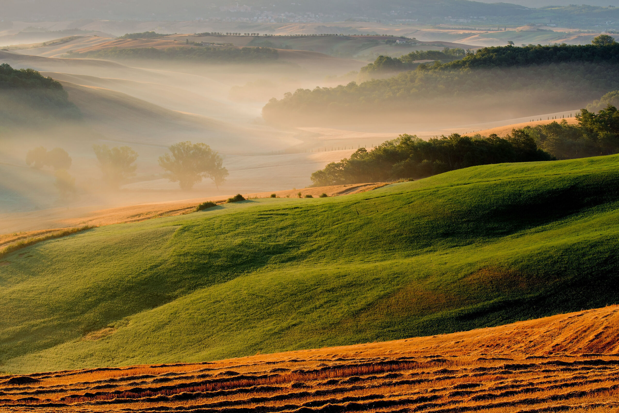 la prima luce.
