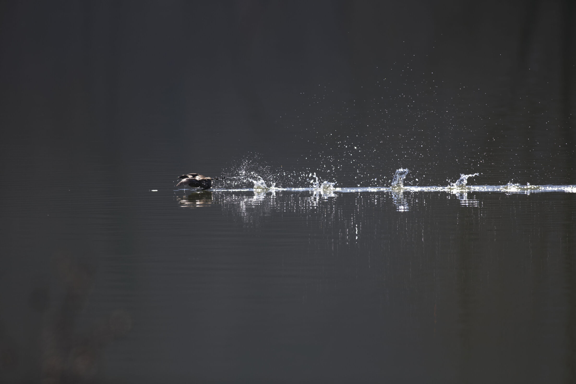 Missili a pelo d'acqua