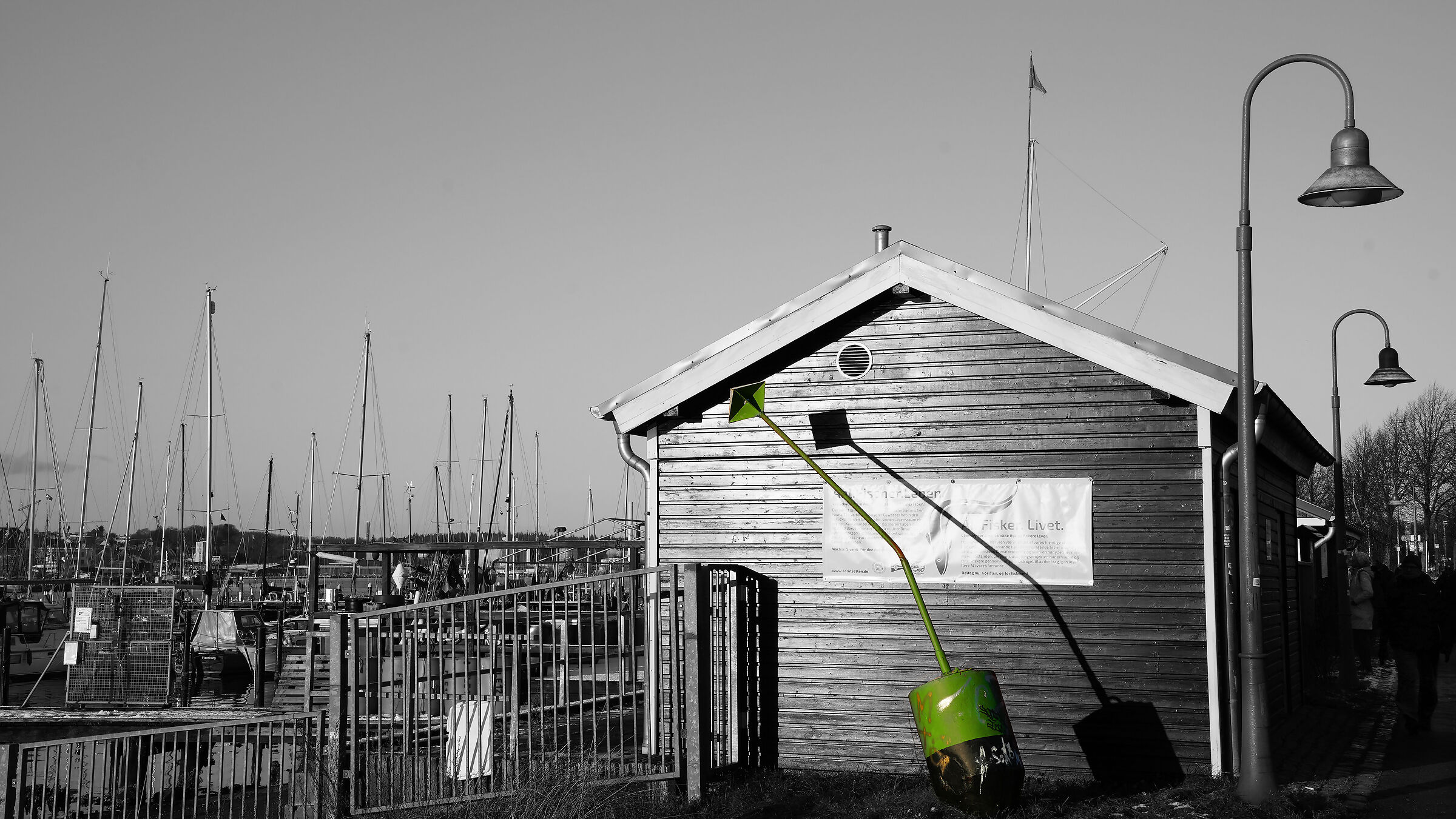 The Buoy