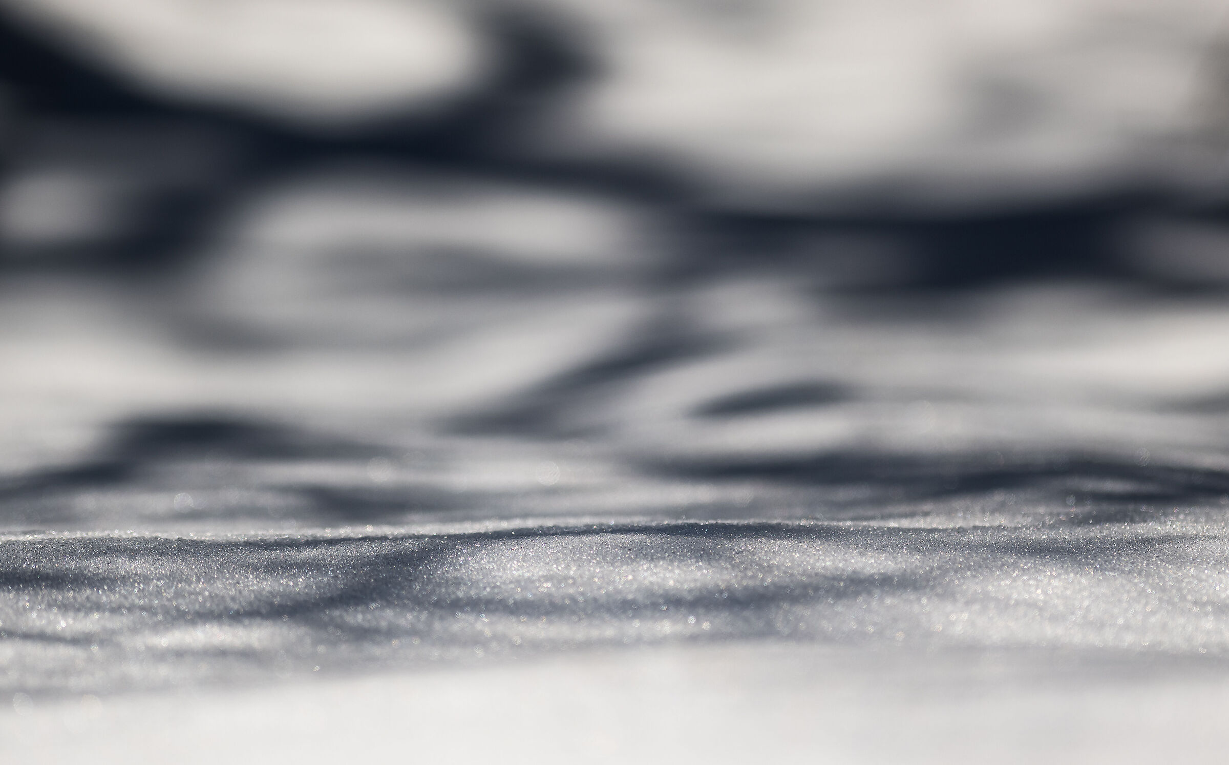 Ombre nella neve