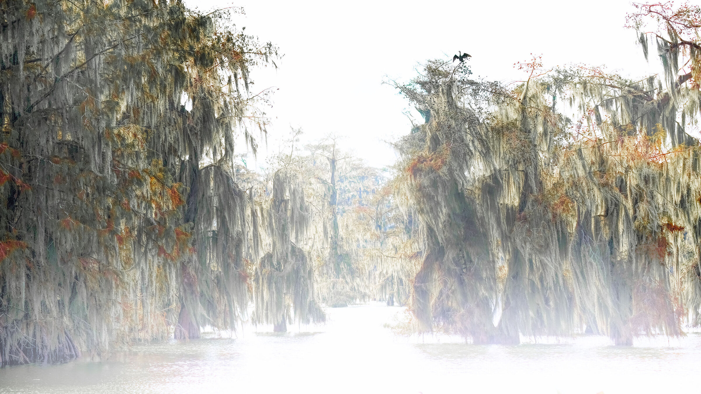 atchalayala basin landscape Louisiana USA