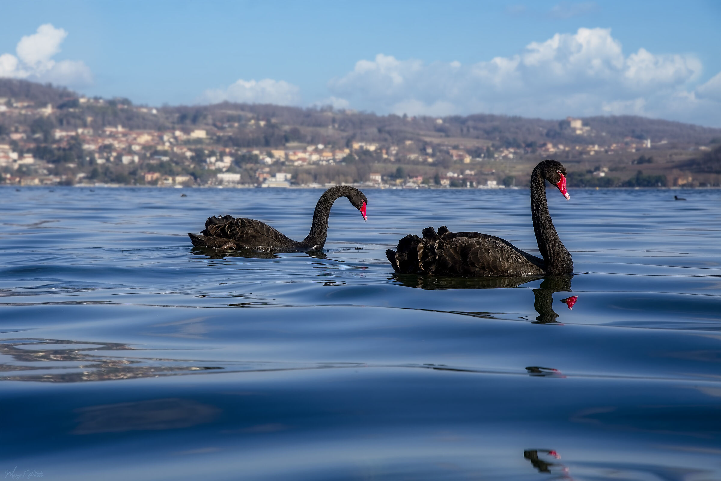 Two Australians in Viverone
