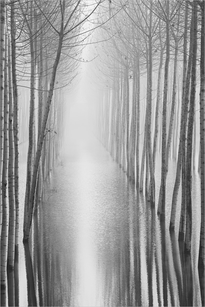 Looking at the End of the Line